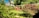 A lush garden with a variety of greenery, including a small red shed with white-framed windows. The garden features neatly trimmed grass, various bushes, and small trees. There is a decorative metal structure and a background with a white multi-story house and additional trees.