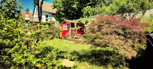 A lush garden with a variety of greenery, including a small red shed with white-framed windows. The garden features neatly trimmed grass, various bushes, and small trees. There is a decorative metal structure and a background with a white multi-story house and additional trees.