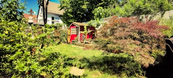 A lush garden with a variety of greenery, including a small red shed with white-framed windows. The garden features neatly trimmed grass, various bushes, and small trees. There is a decorative metal structure and a background with a white multi-story house and additional trees.