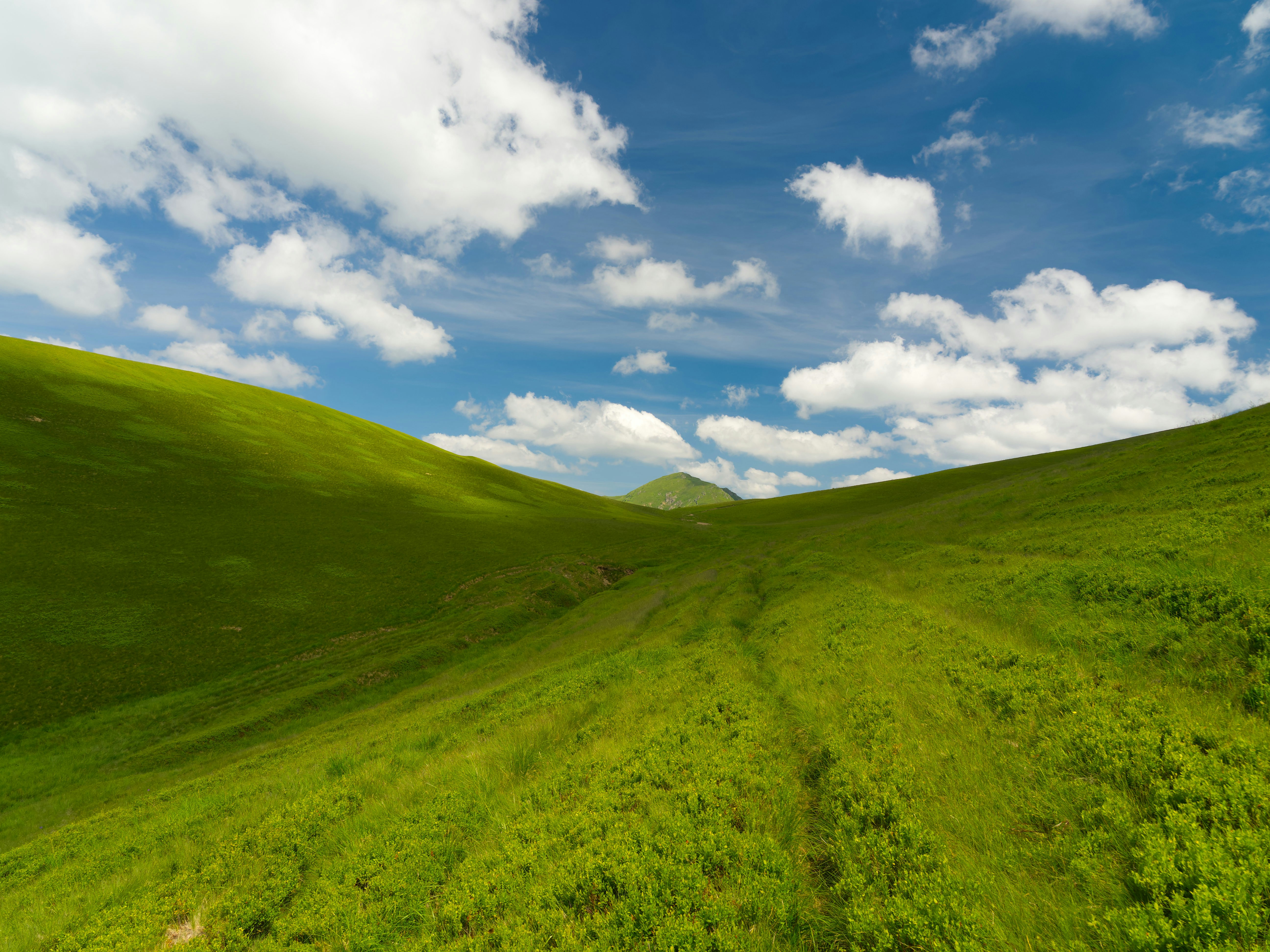 Photo by illes_cristi