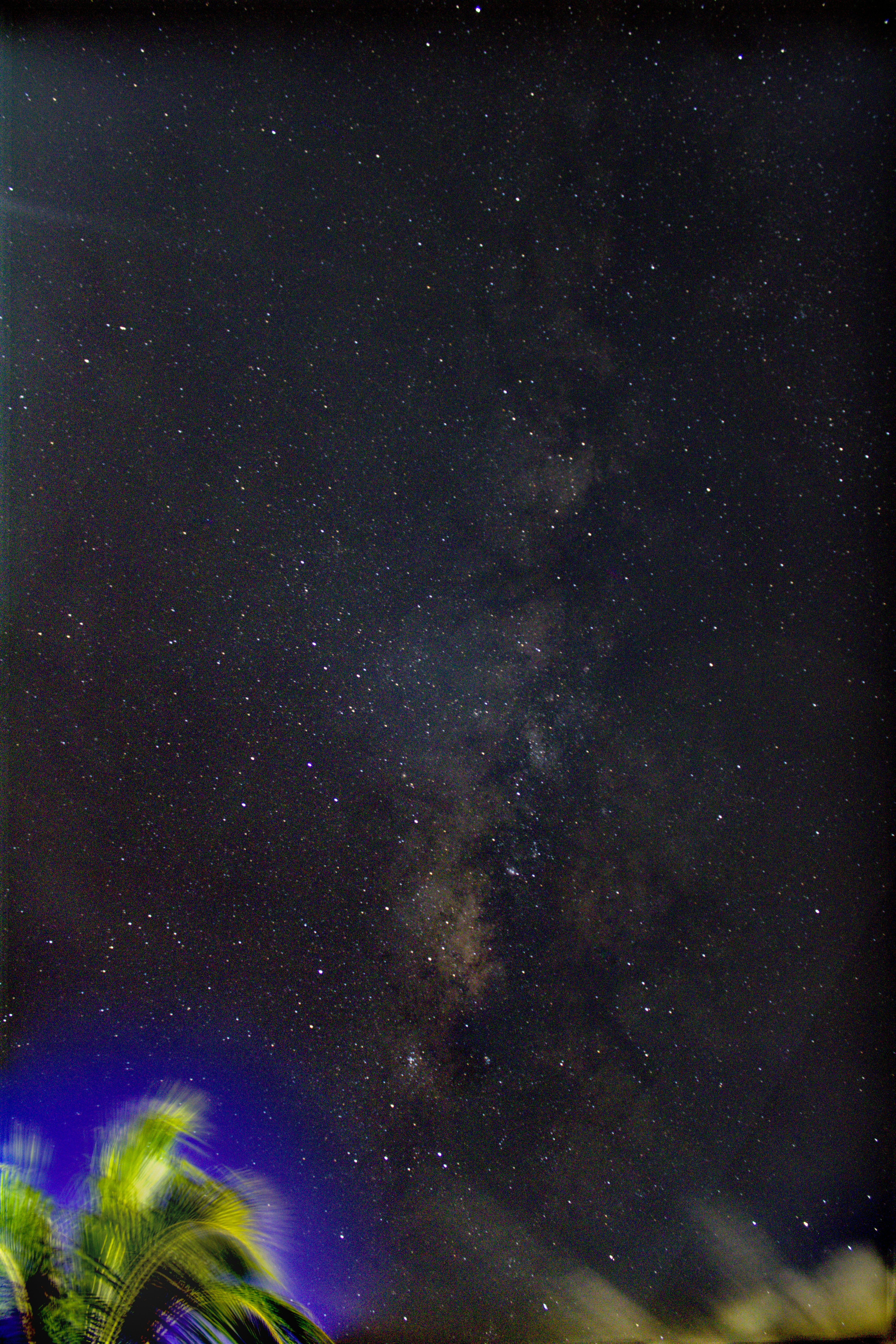 Langit malam dengan bintang dan pohon palem