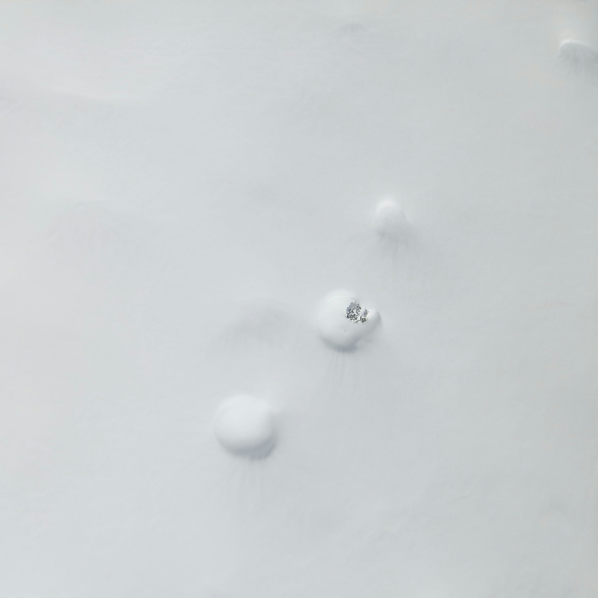 Photo by illes_cristi