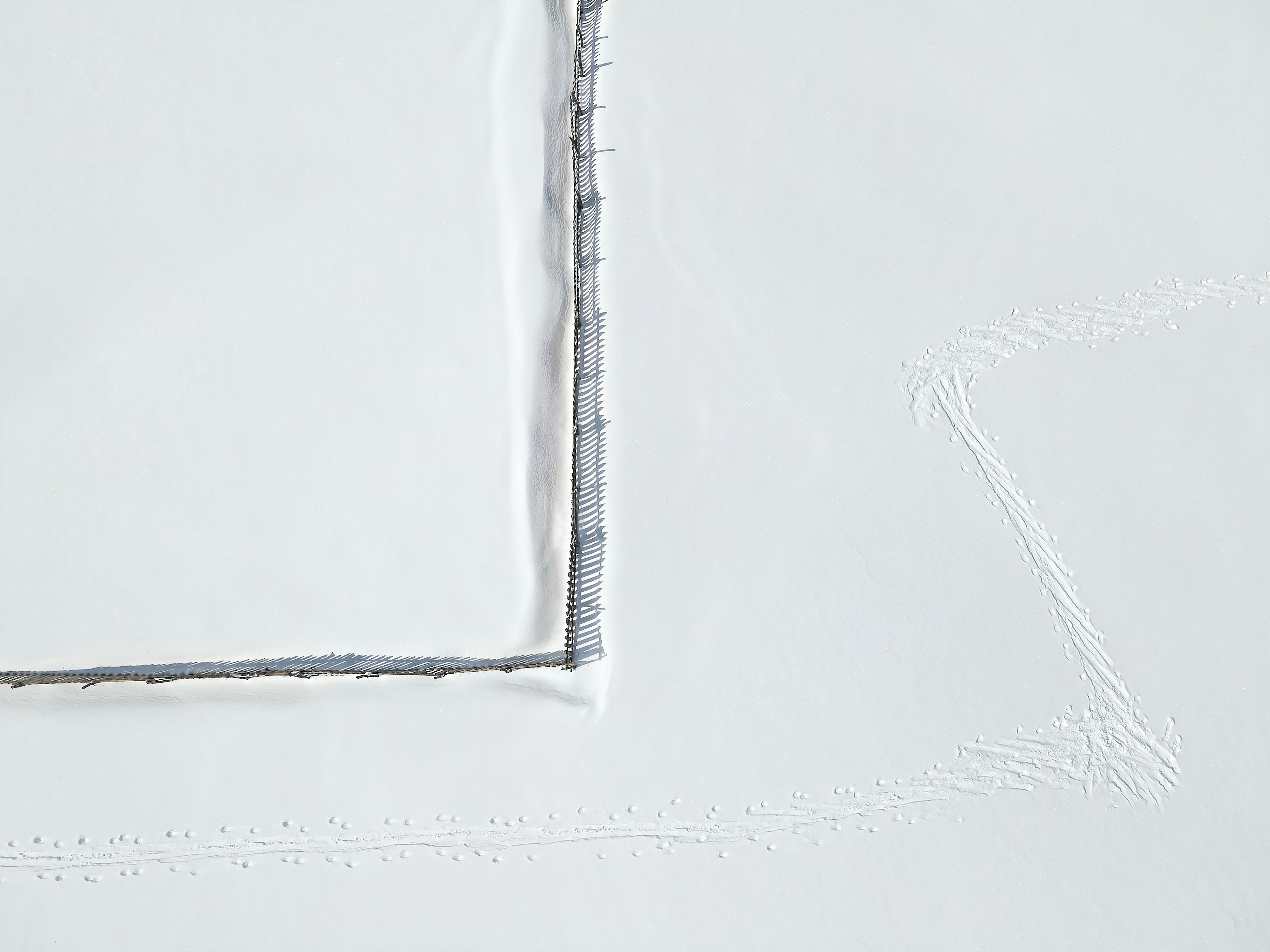 Photo by illes_cristi