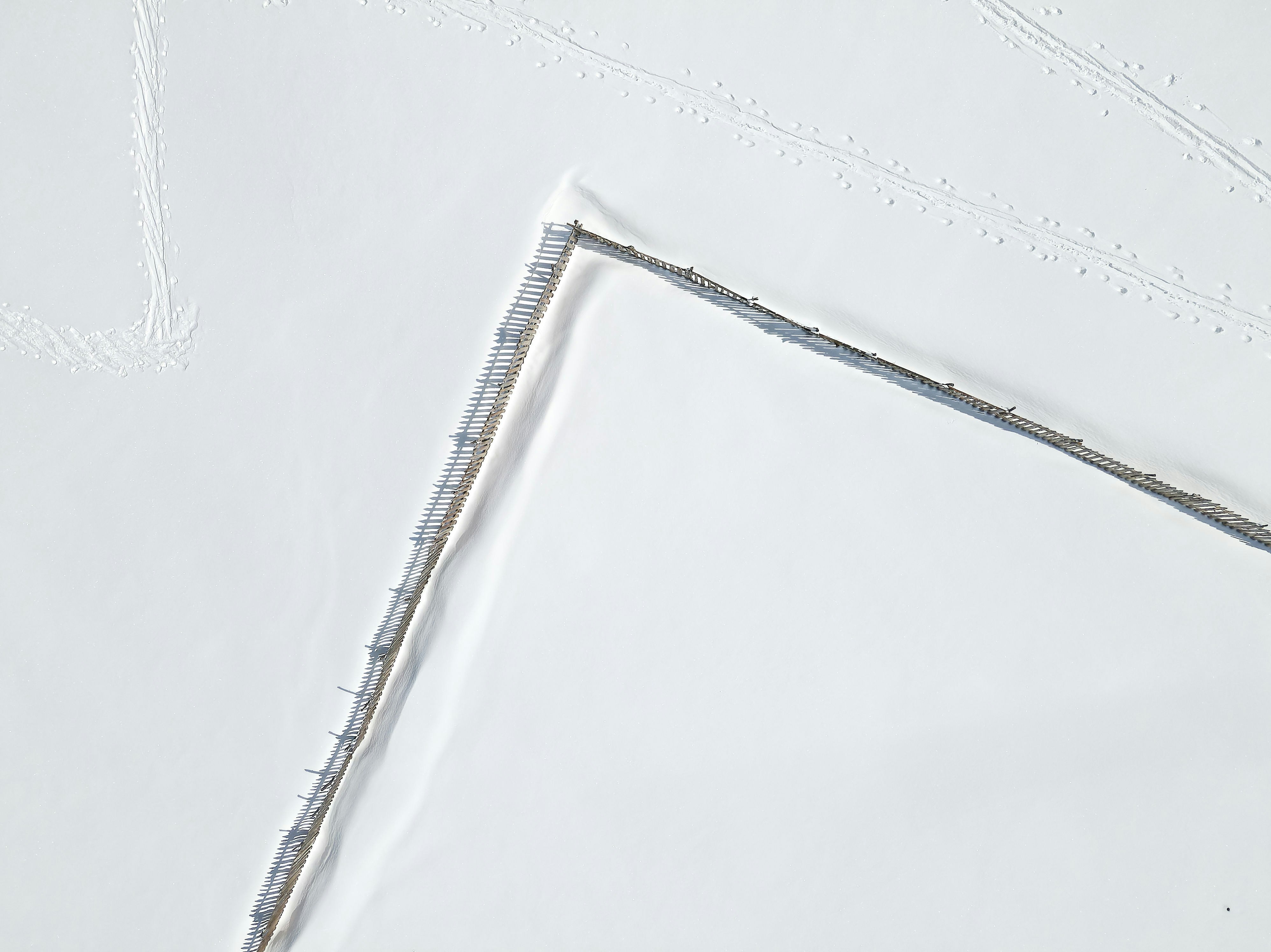 Photo by illes_cristi