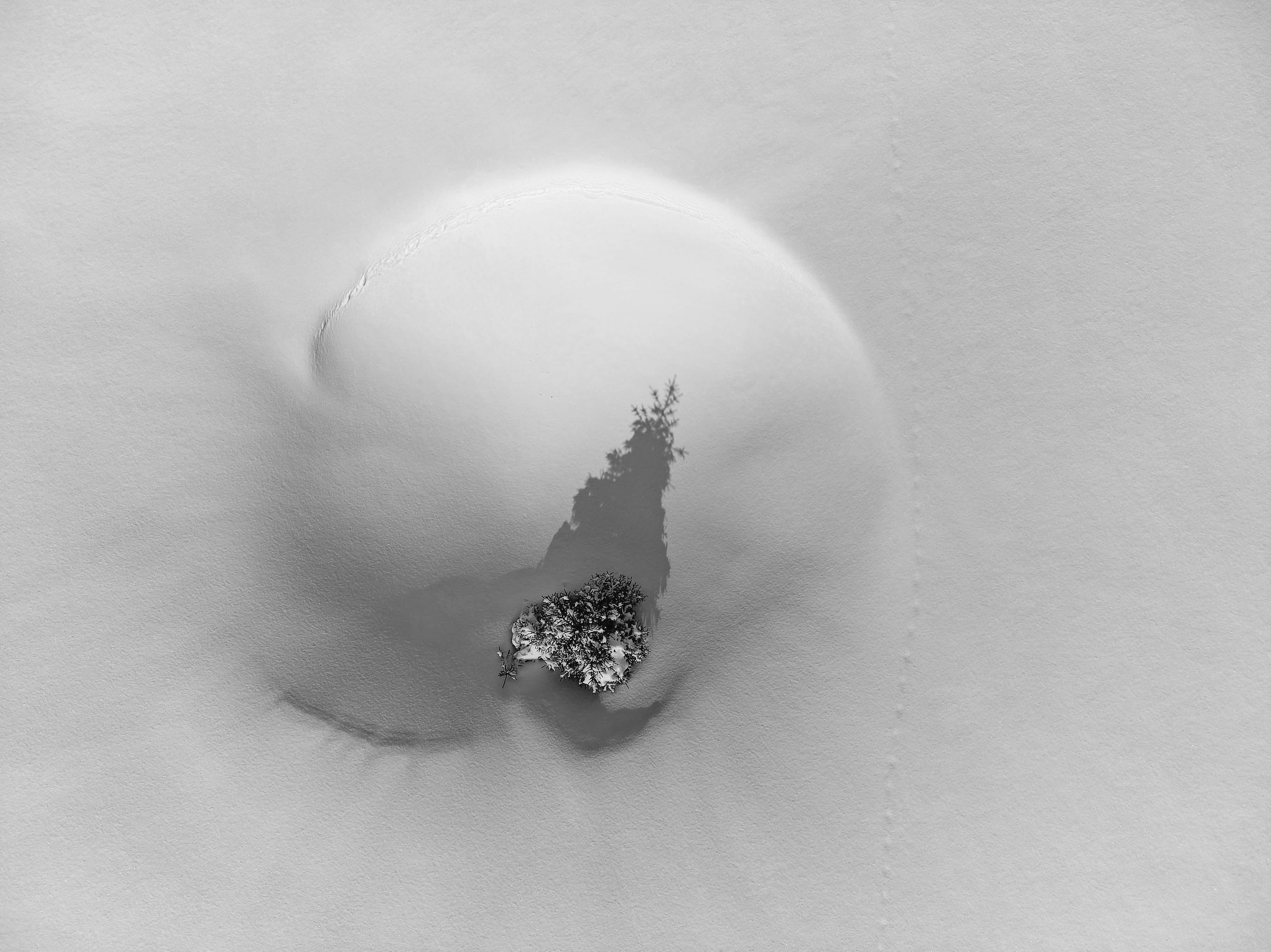 Photo by illes_cristi