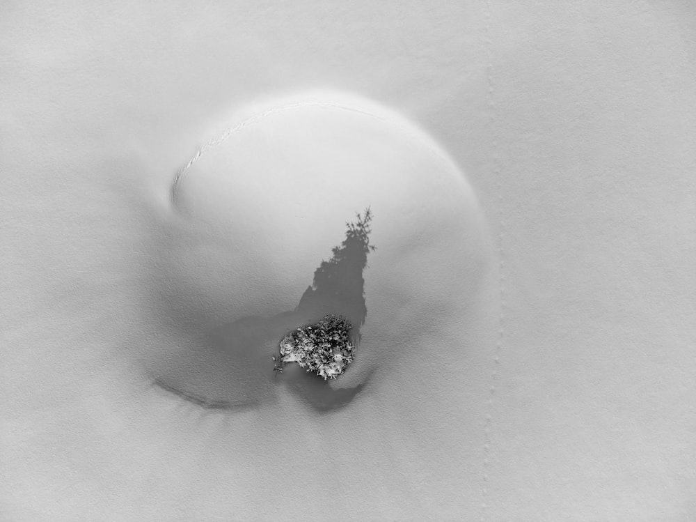 a black and white photo of a snow ball