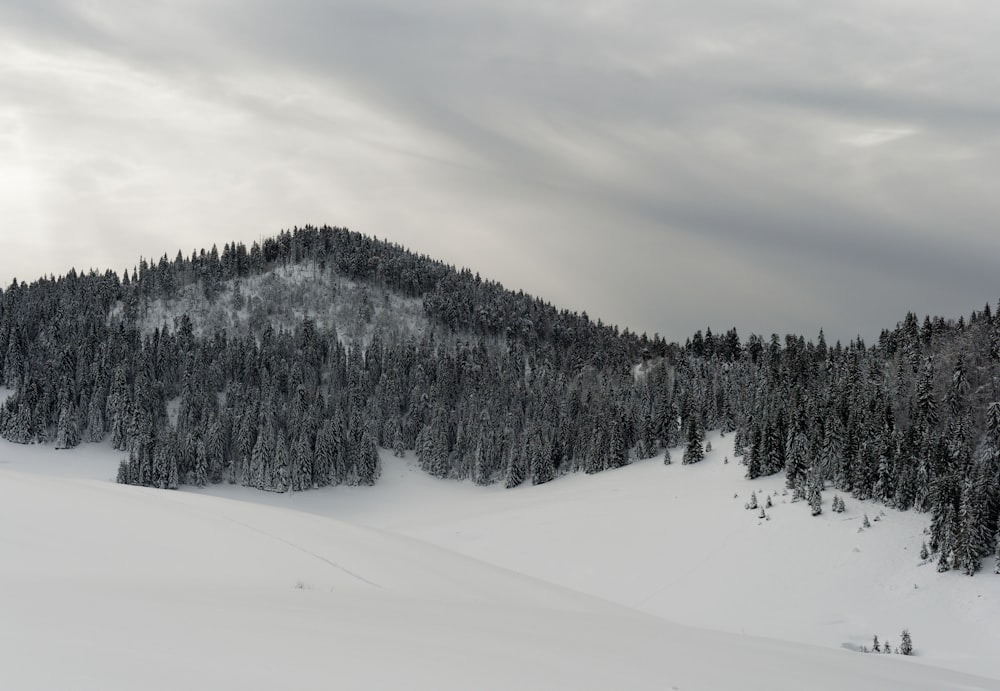 a mountain covered in snow and trees under a cloudy sky