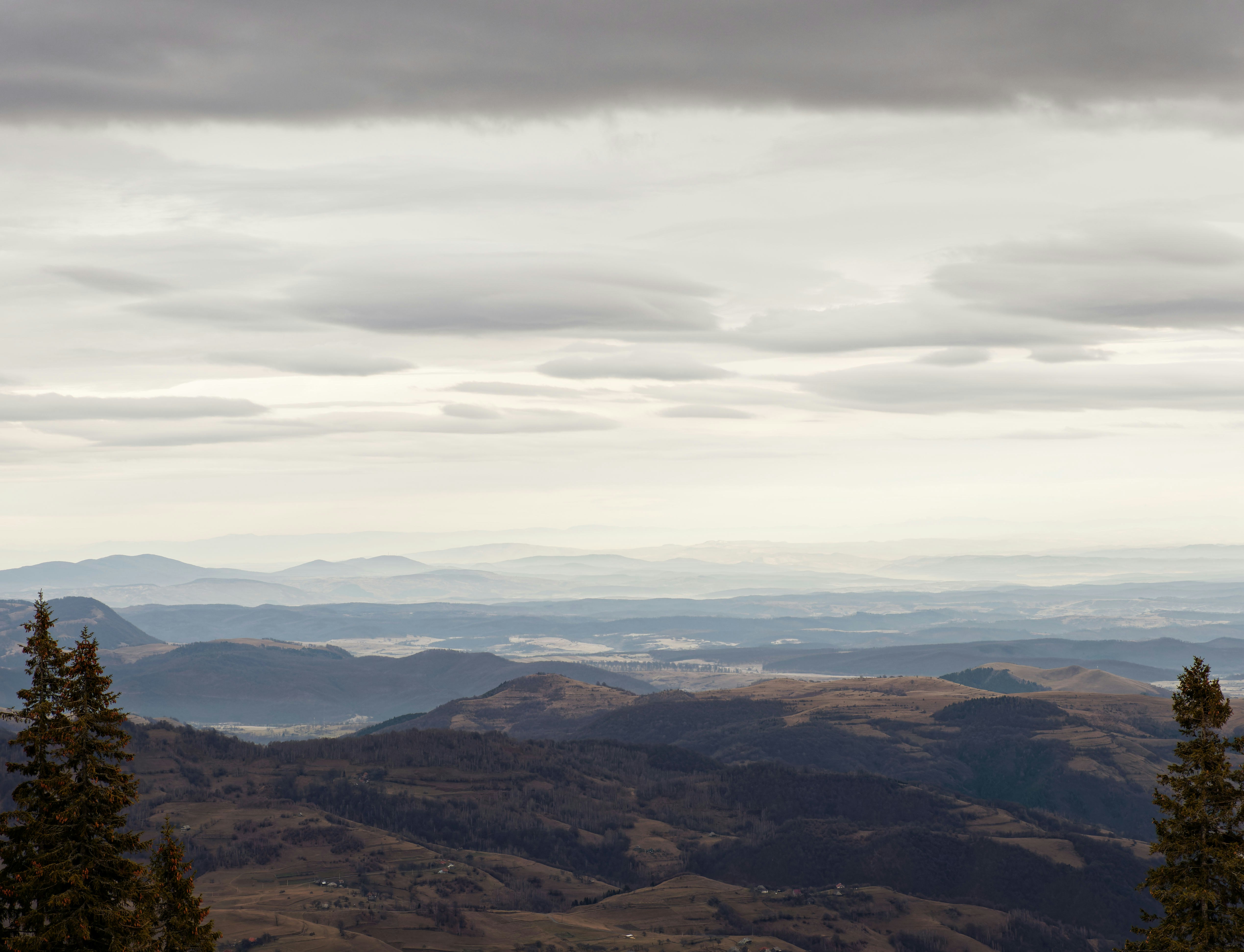 Photo by illes_cristi