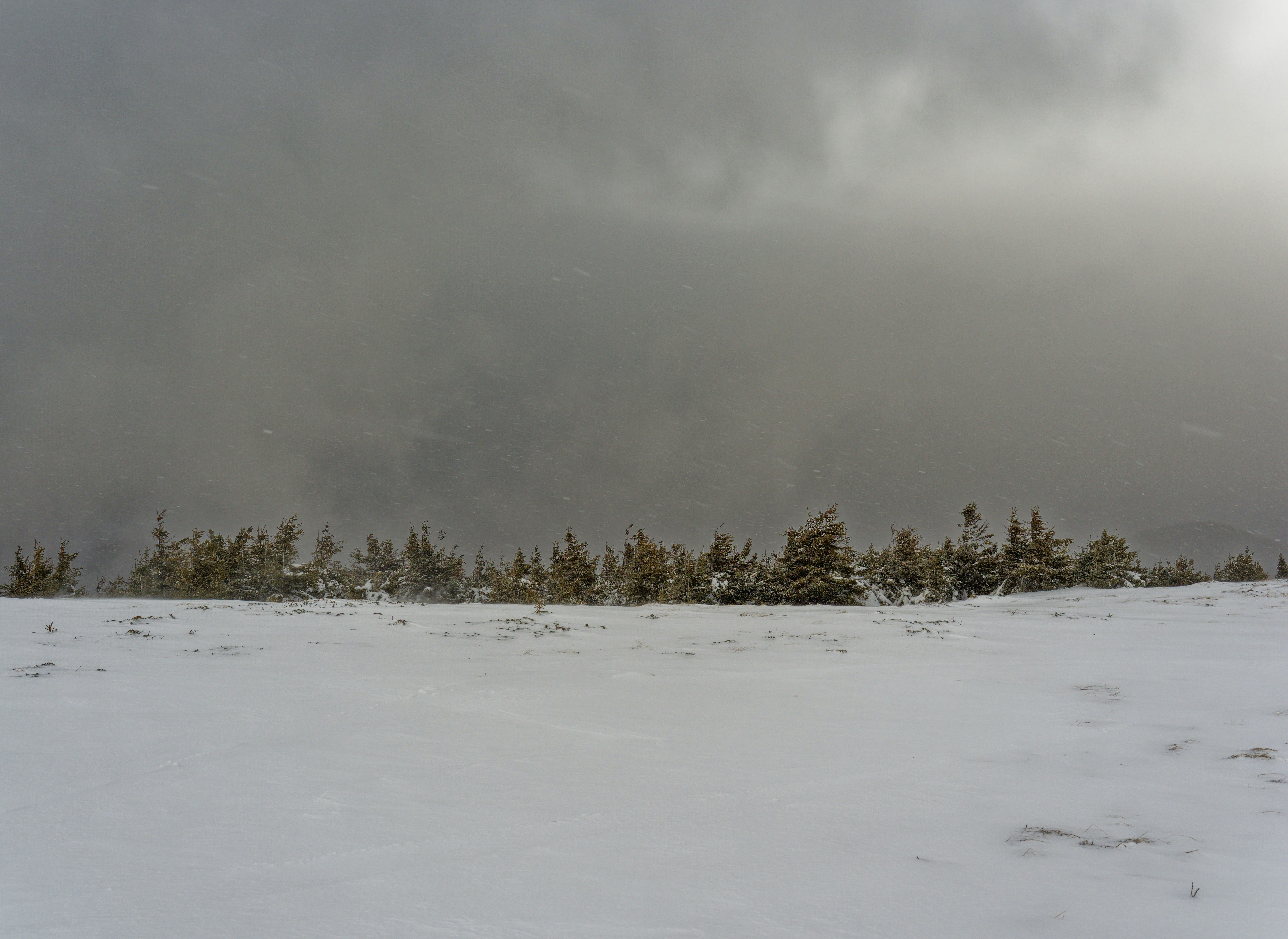 Photo by illes_cristi