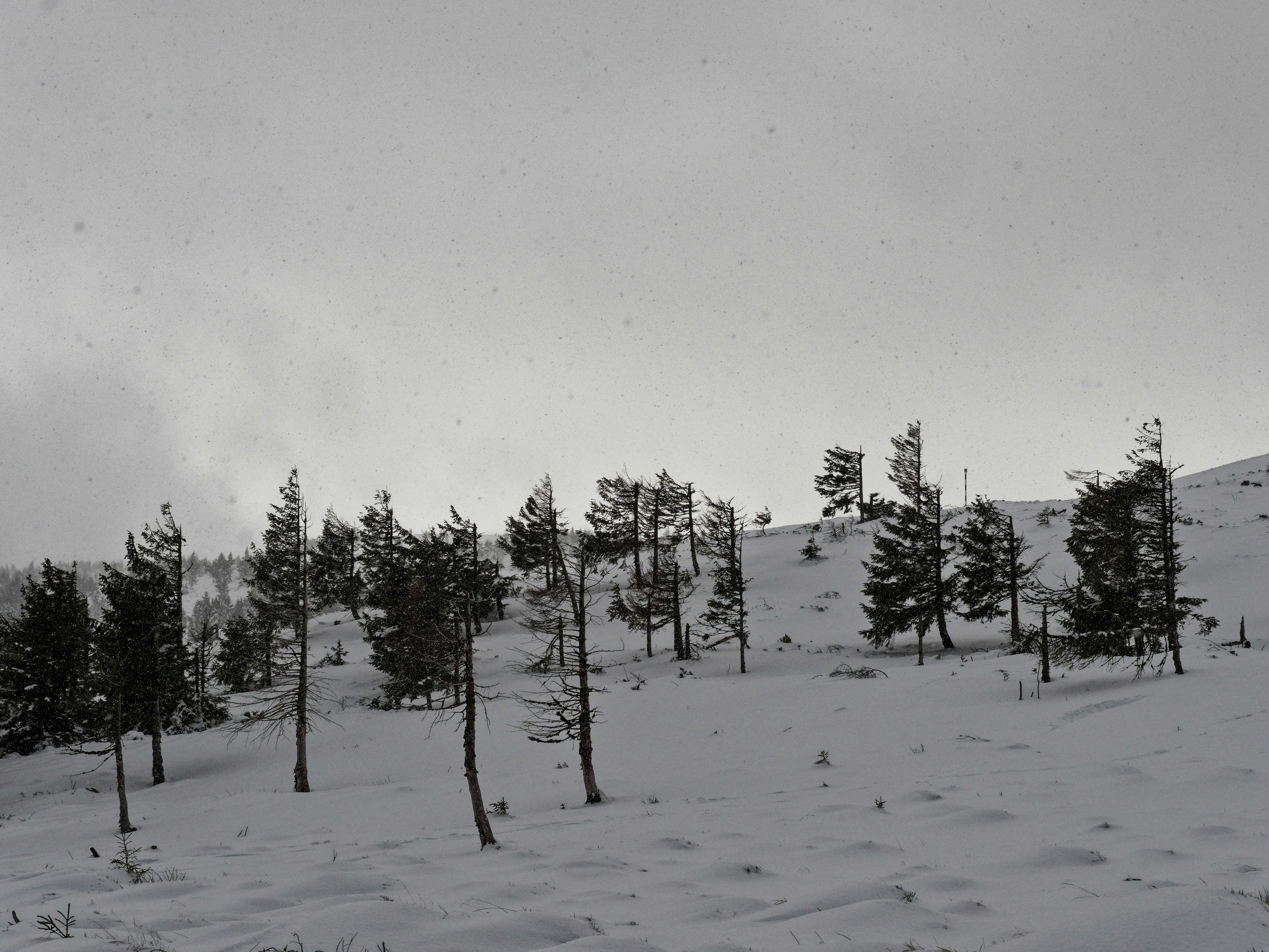 Photo by illes_cristi