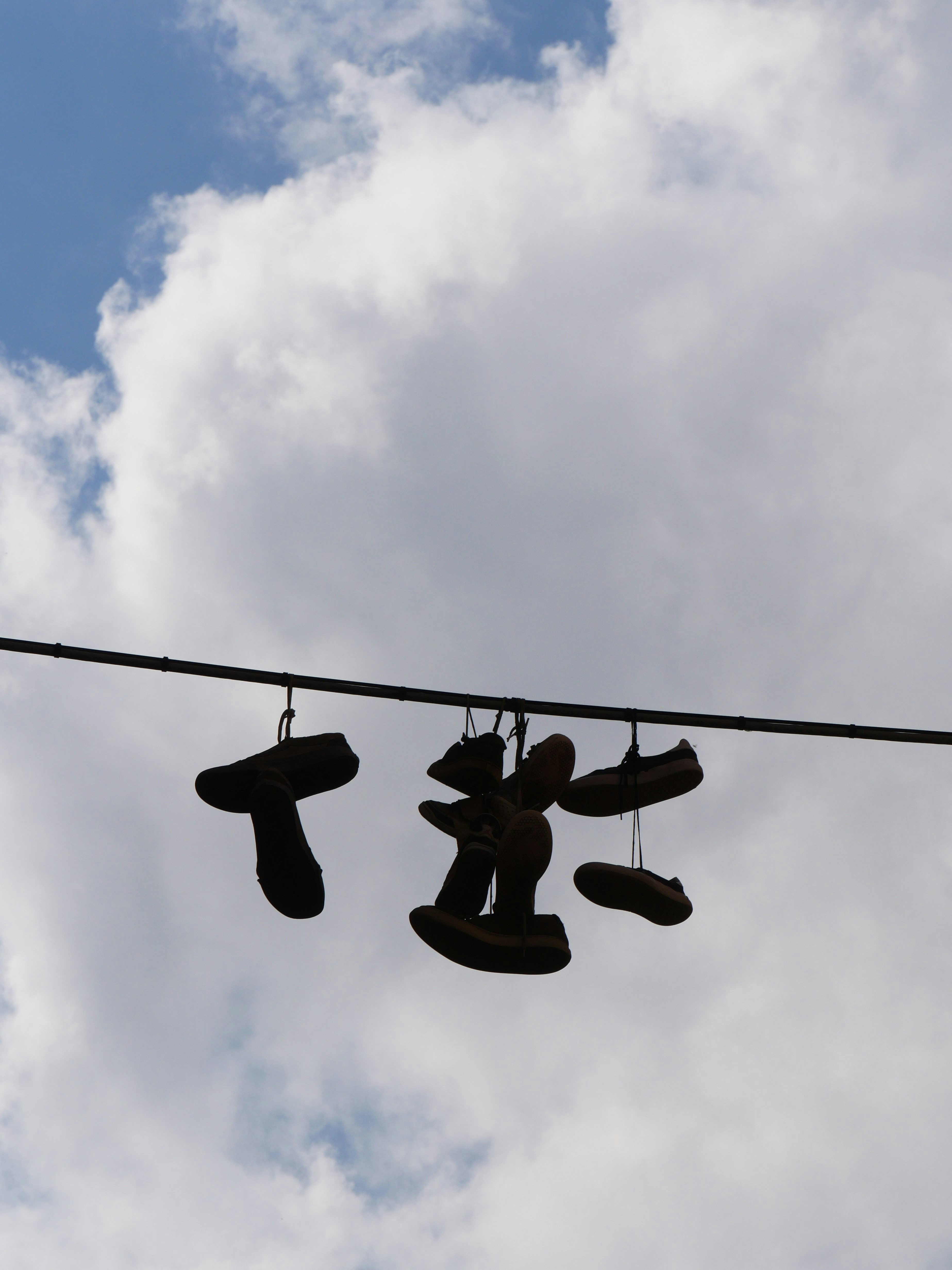 Photo by nimbus_vulpis