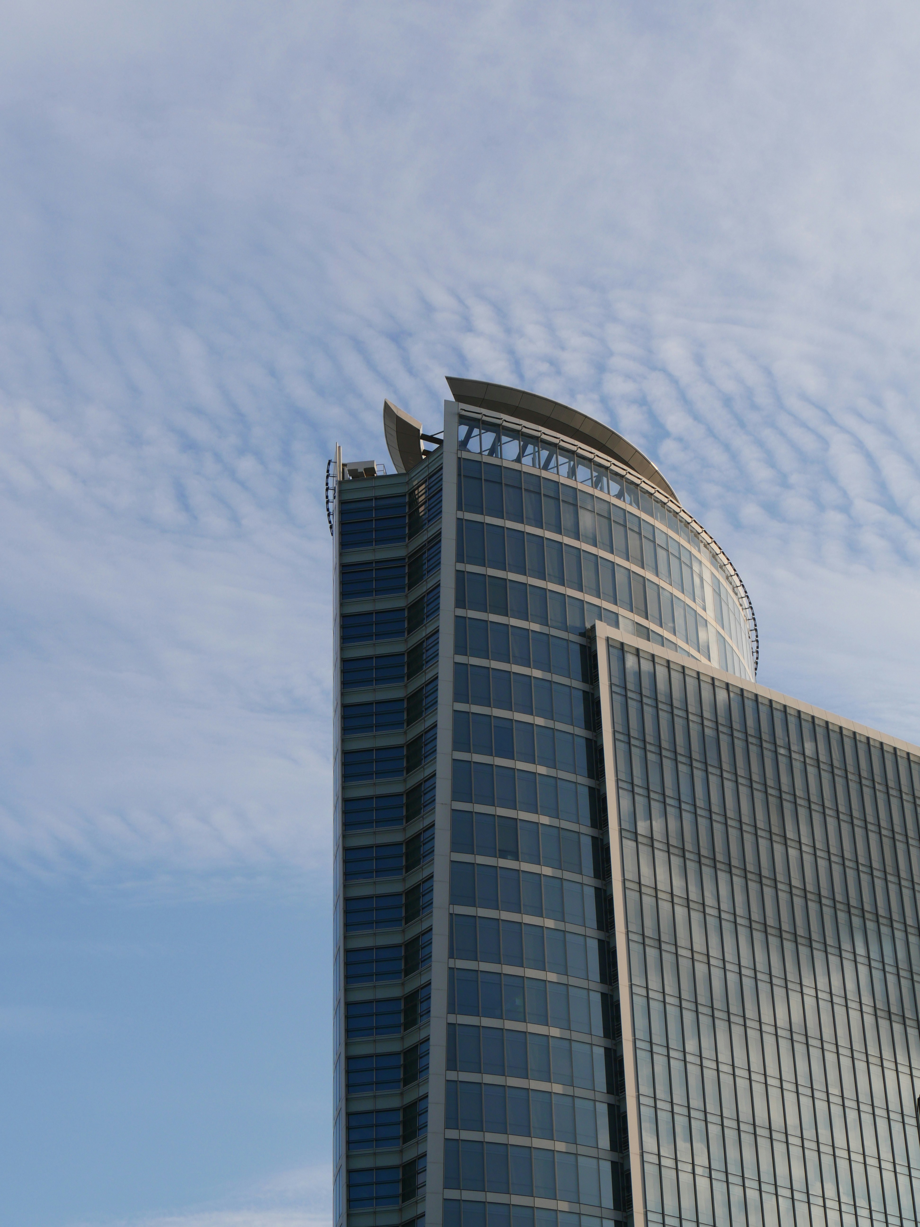 Photo by nimbus_vulpis