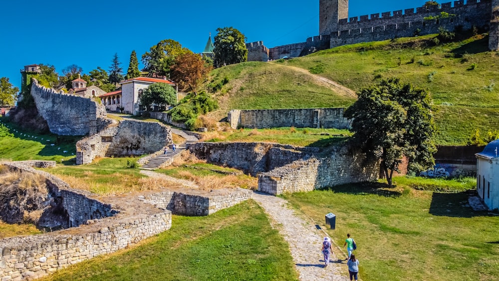 un couple de personnes debout dans l’herbe