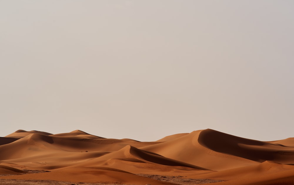 a group of sand dunes in the desert