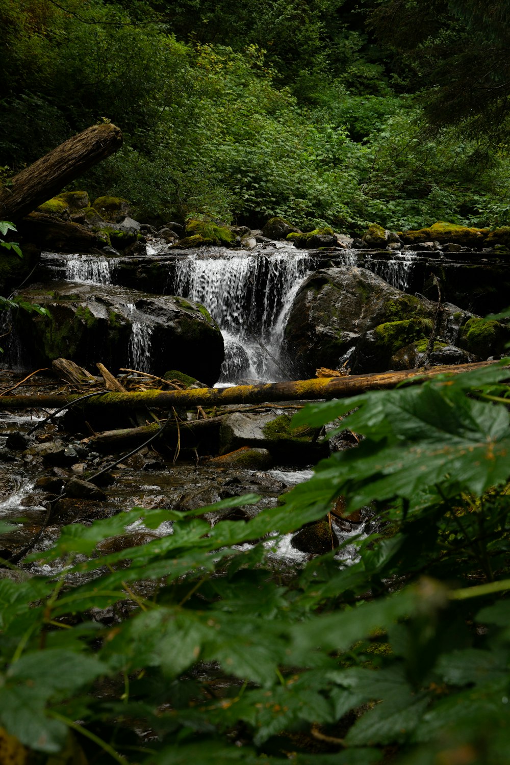 a small waterfall in the middle of a forest