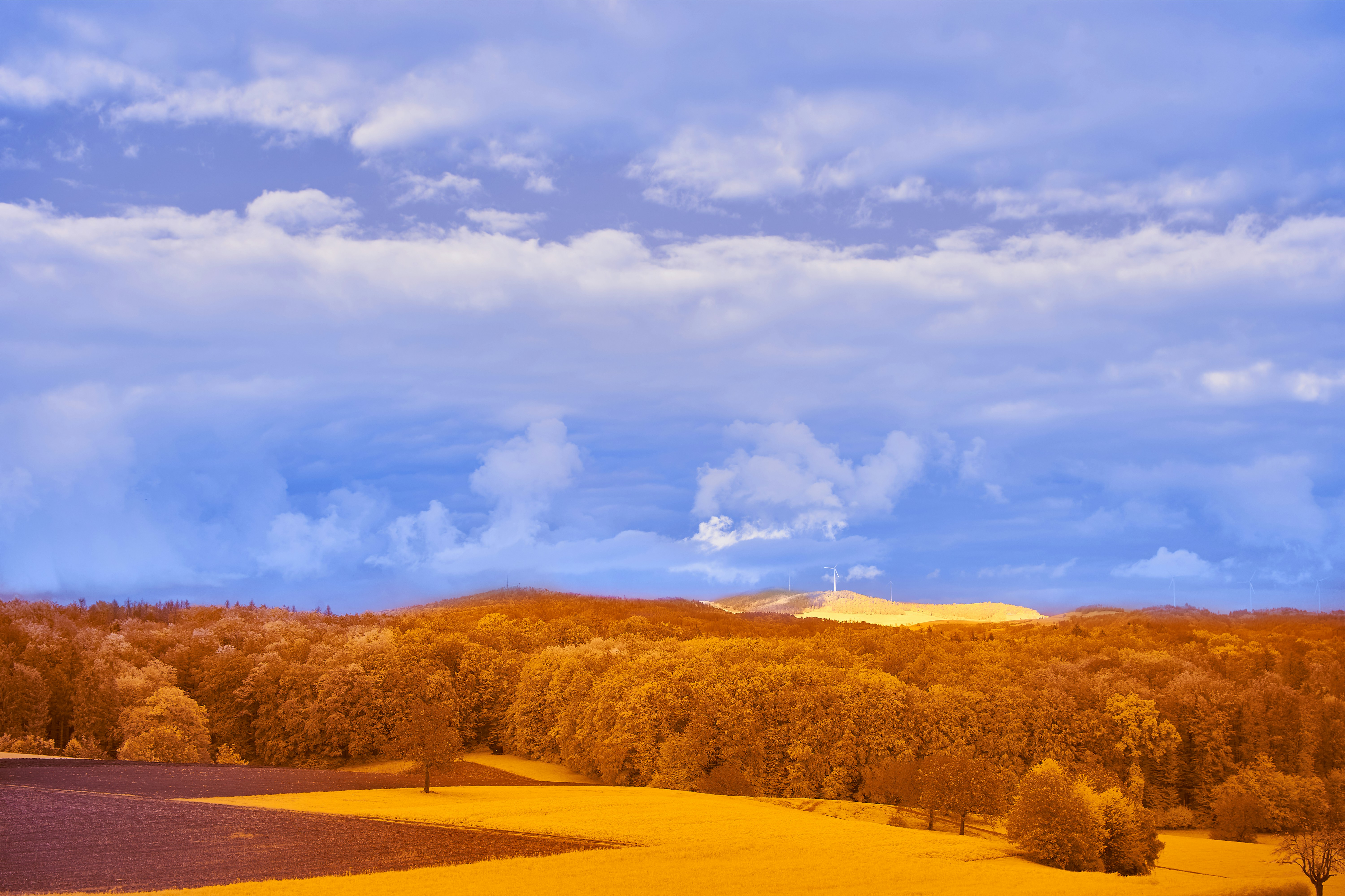 Photo by wolfgang_hasselmann