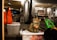 A fluffy cat wearing a colorful harness sits on a white plastic container outdoors in what appears to be a cafe or an outdoor seating area. The background includes a green plastic chair, a red plastic bag, and parts of a cafe interior with tables and shelves.