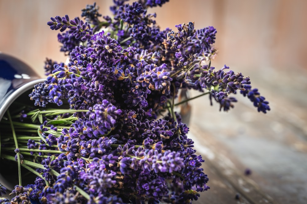 a bunch of lavender flowers in a vase