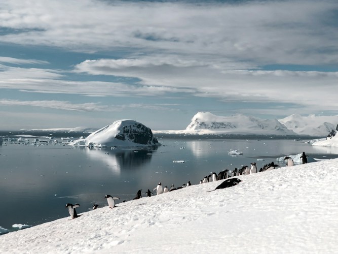 Antarctic Peninsula: The Warmest Part of the Frozen Continent