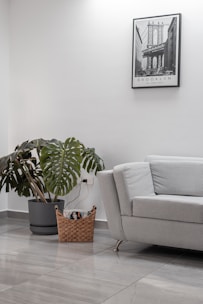 a living room with a couch and a potted plant