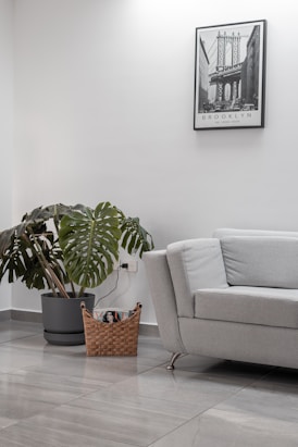 a living room with a couch and a potted plant