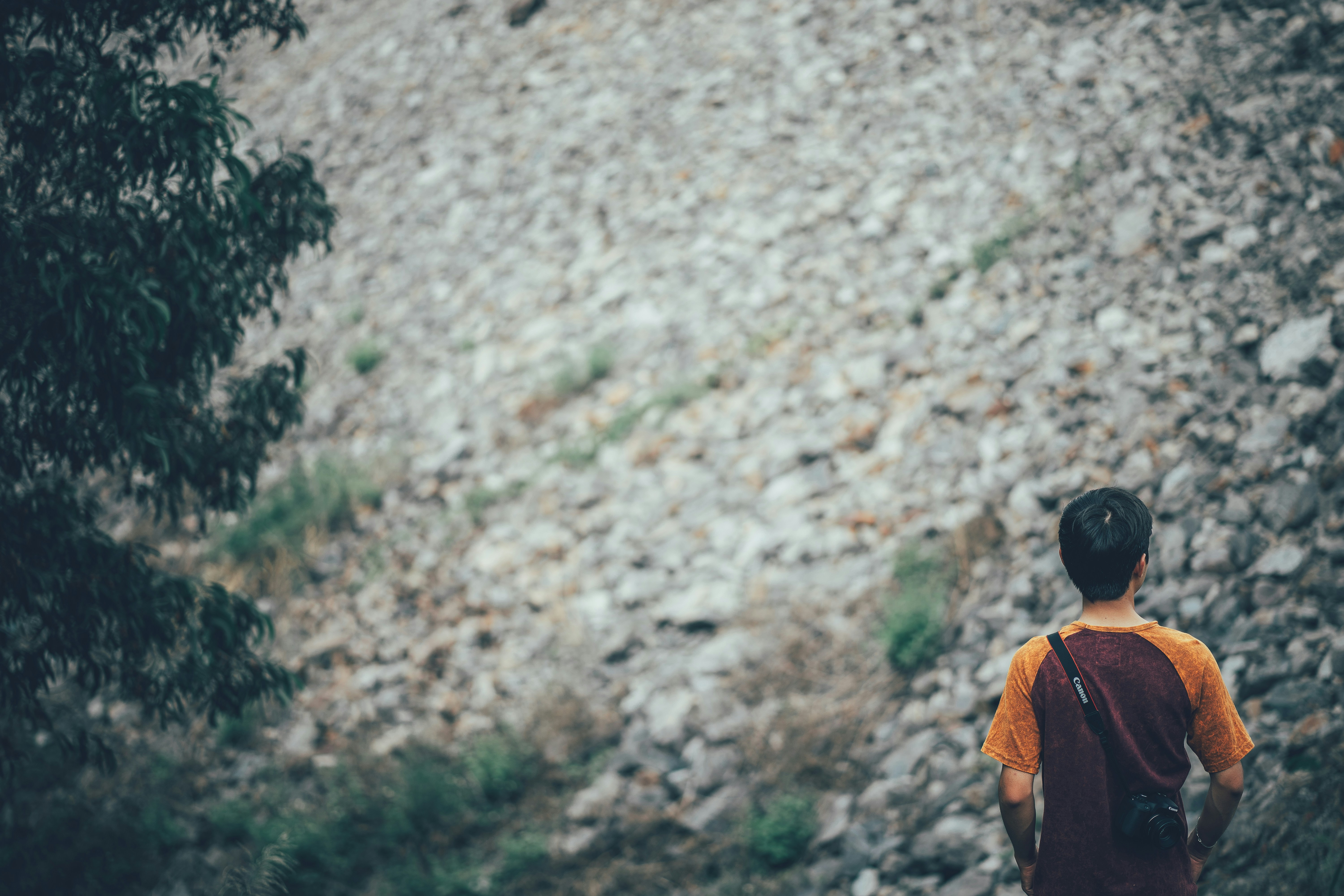 a young boy standing on a rocky path