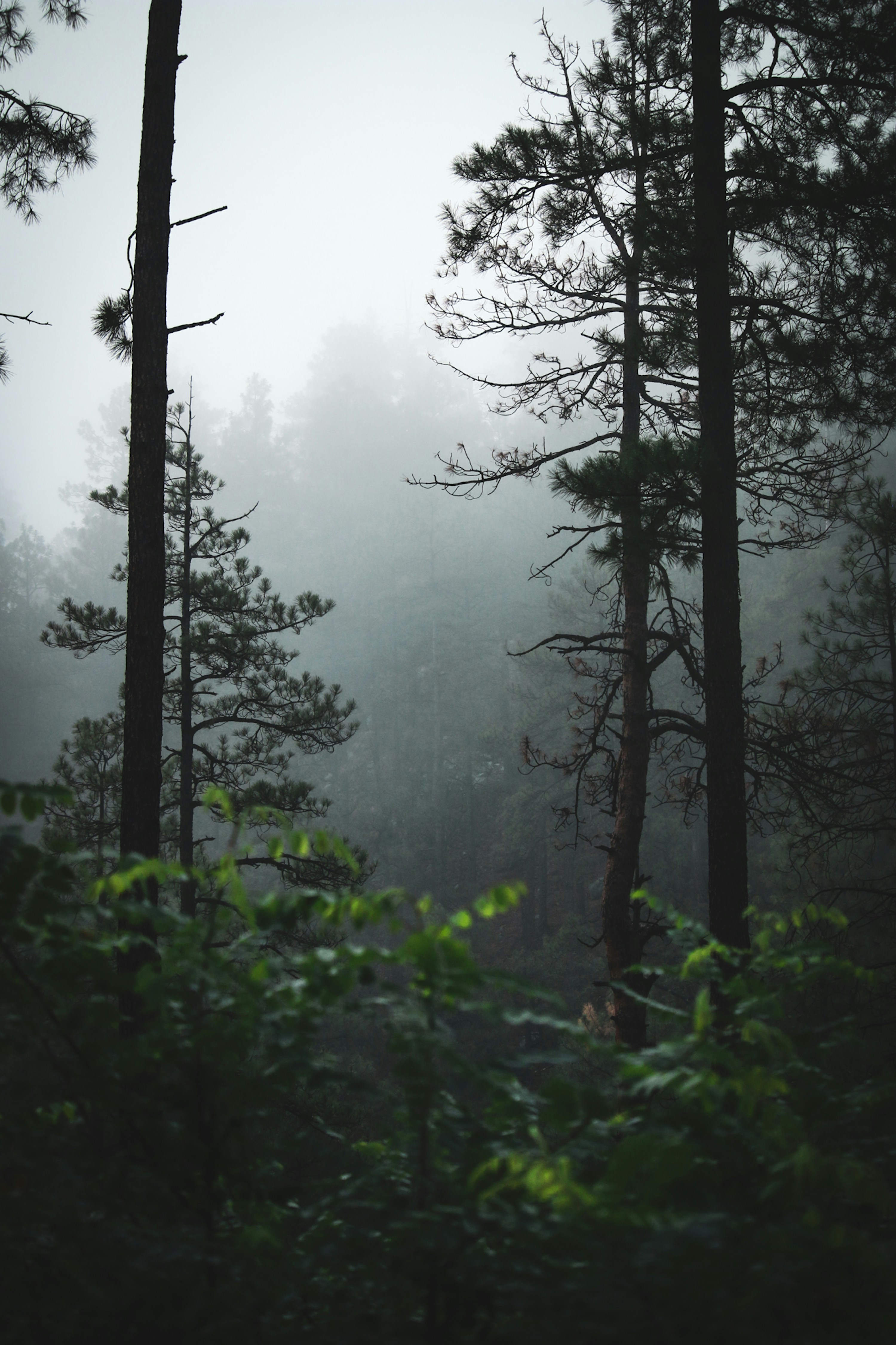 Photo by cameratheory