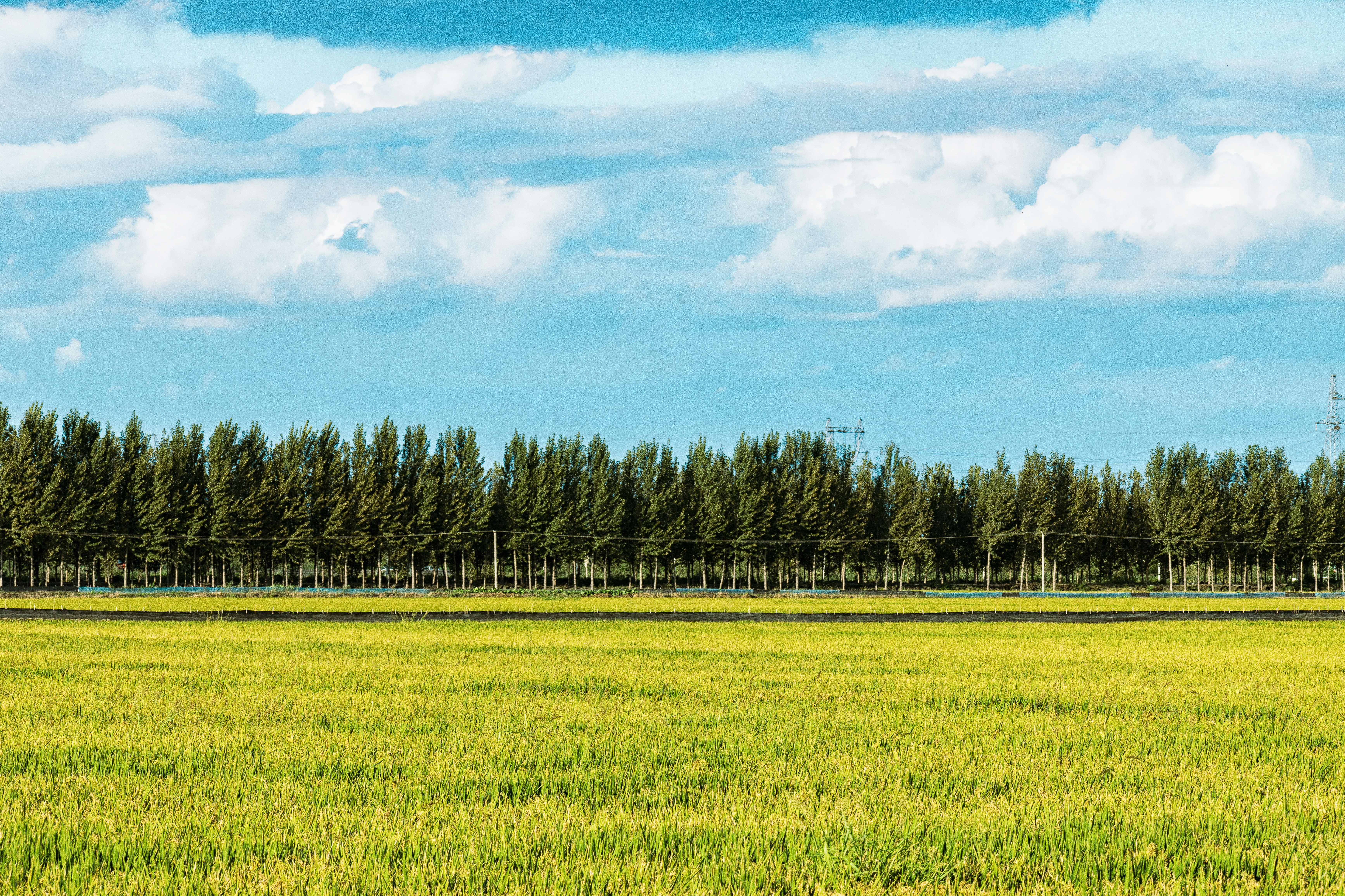 Photo by juliuscarmine