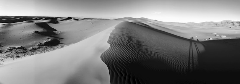 a black and white photo of a desert