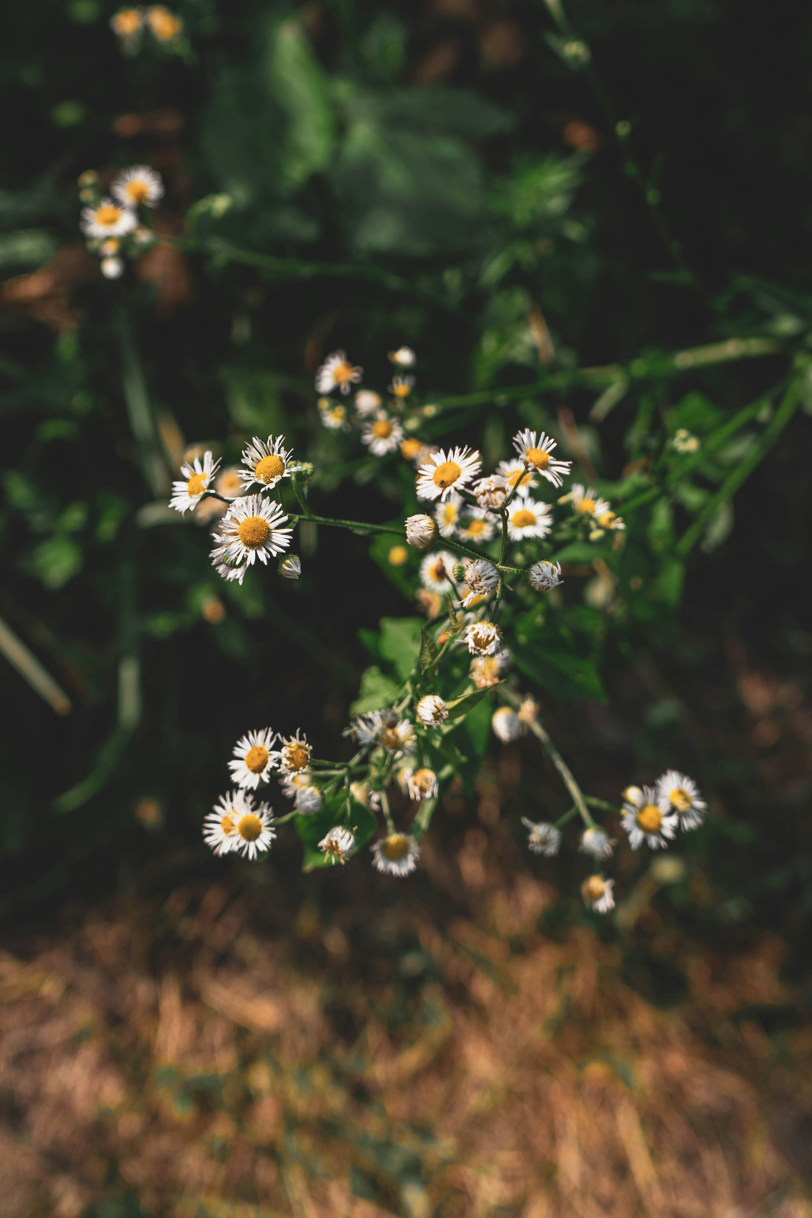 Photo by mayertawfik