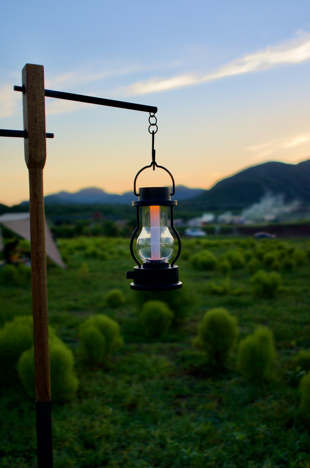 a lantern hanging from a pole in a field