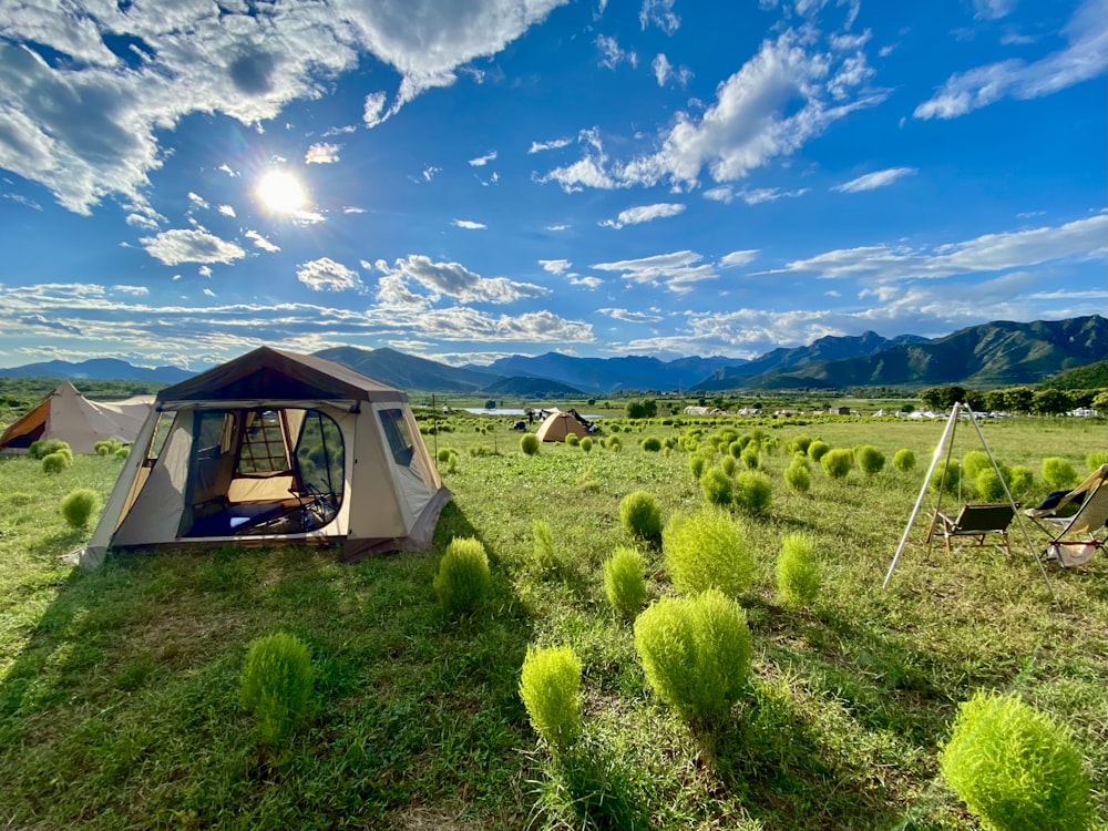 a tent set up in a field with mountains in the background