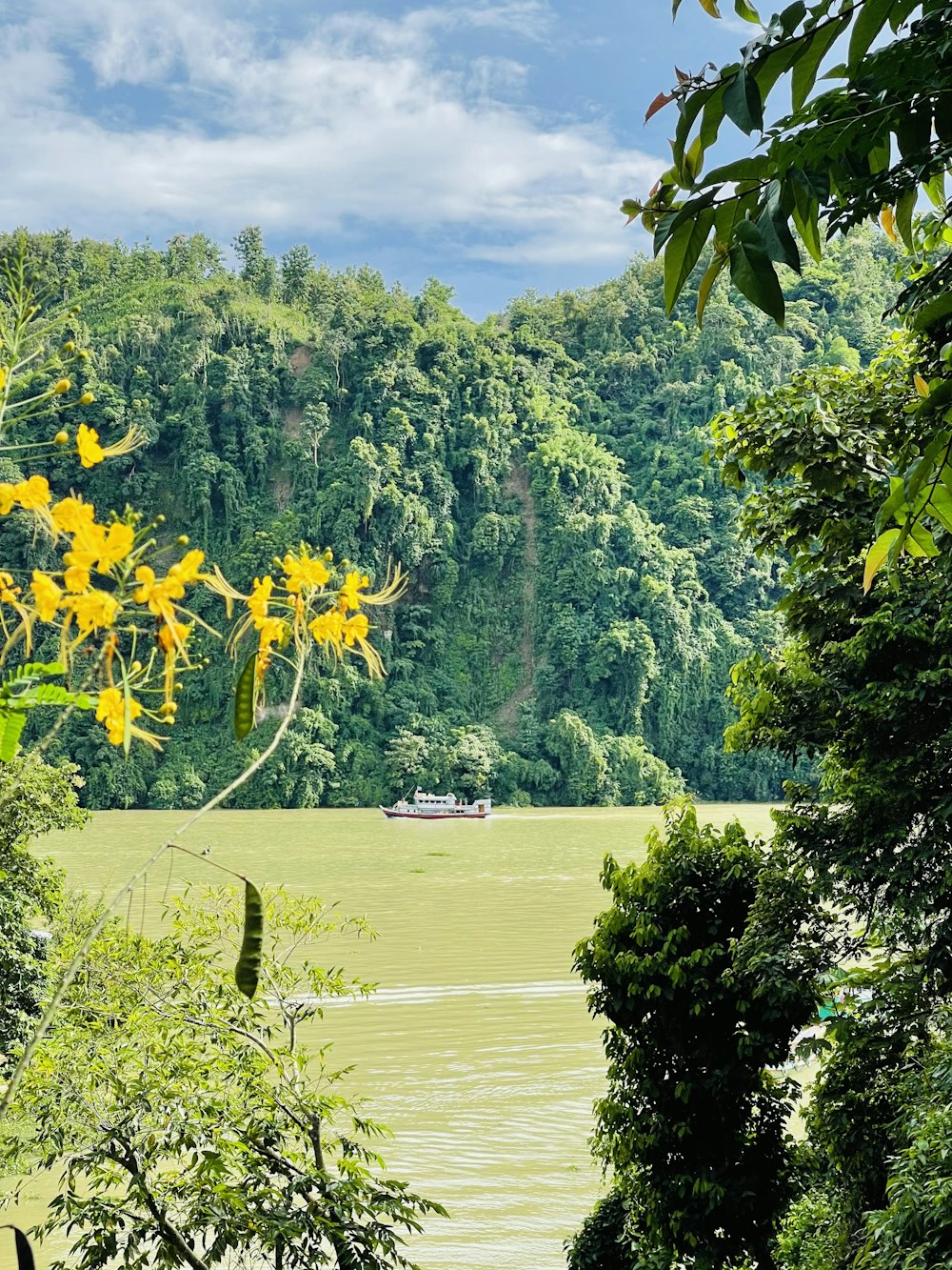 a boat on a lake surrounded by trees