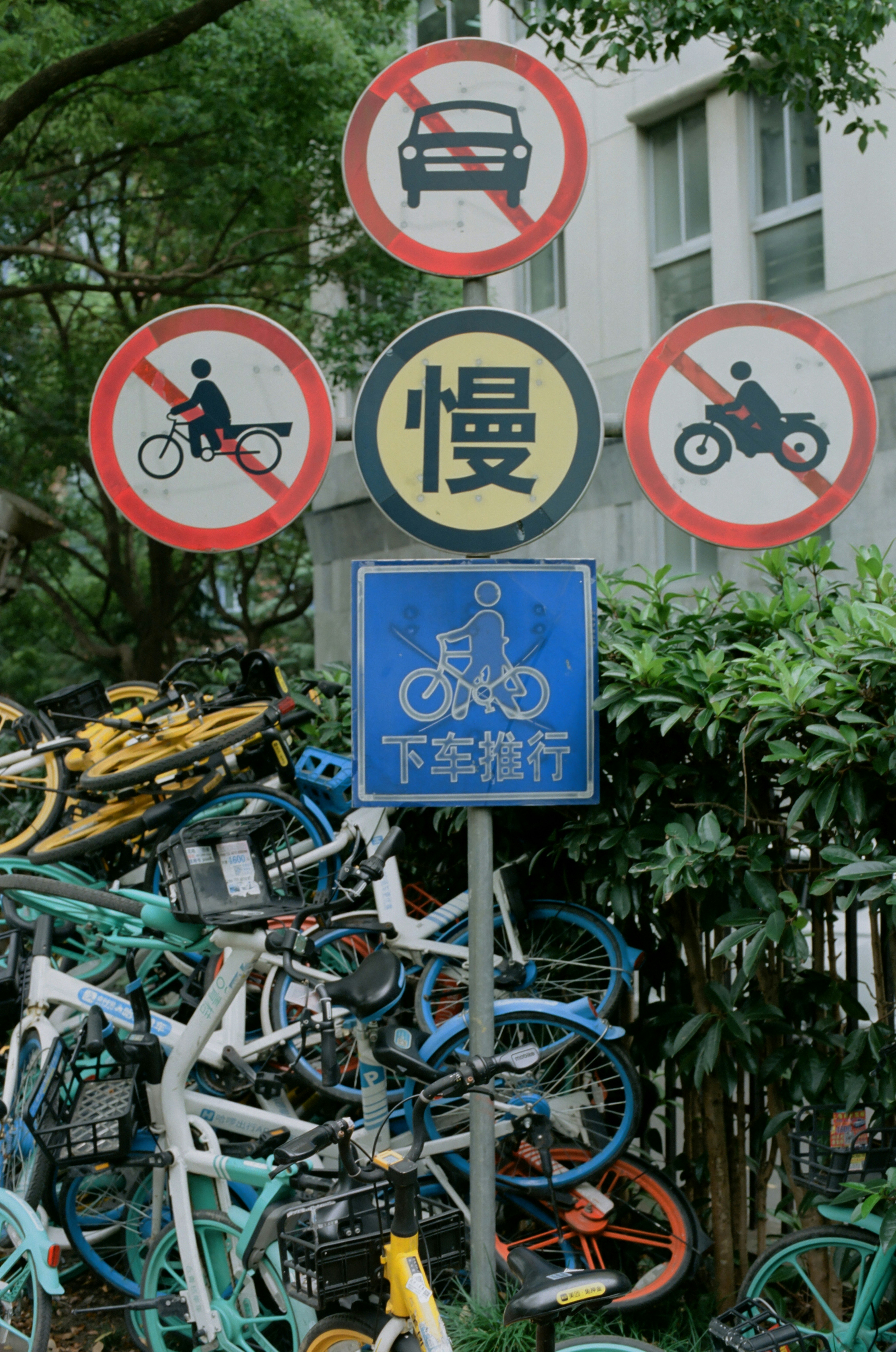 Photo by geraltyichen