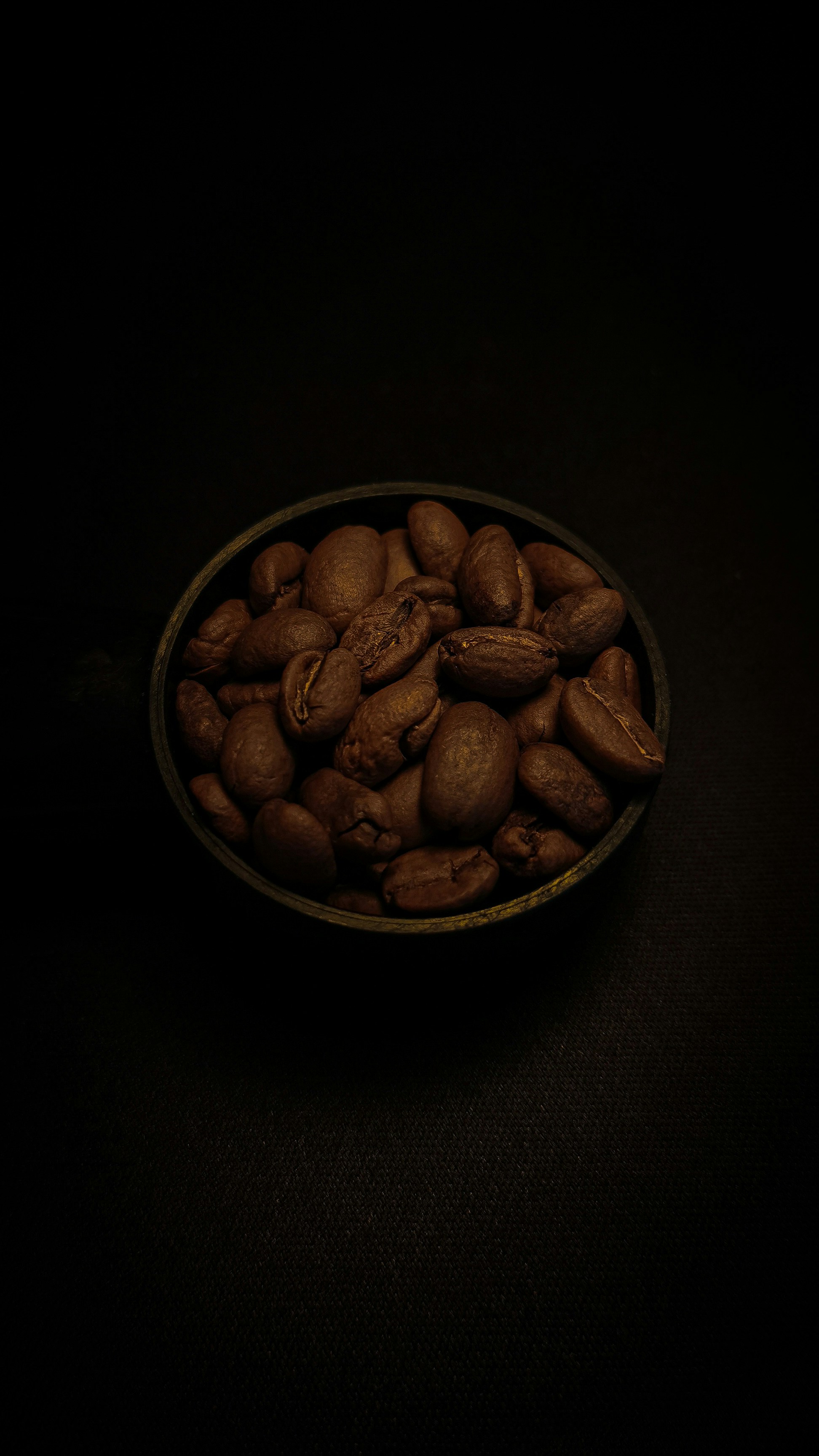 Photo by mobo_studio