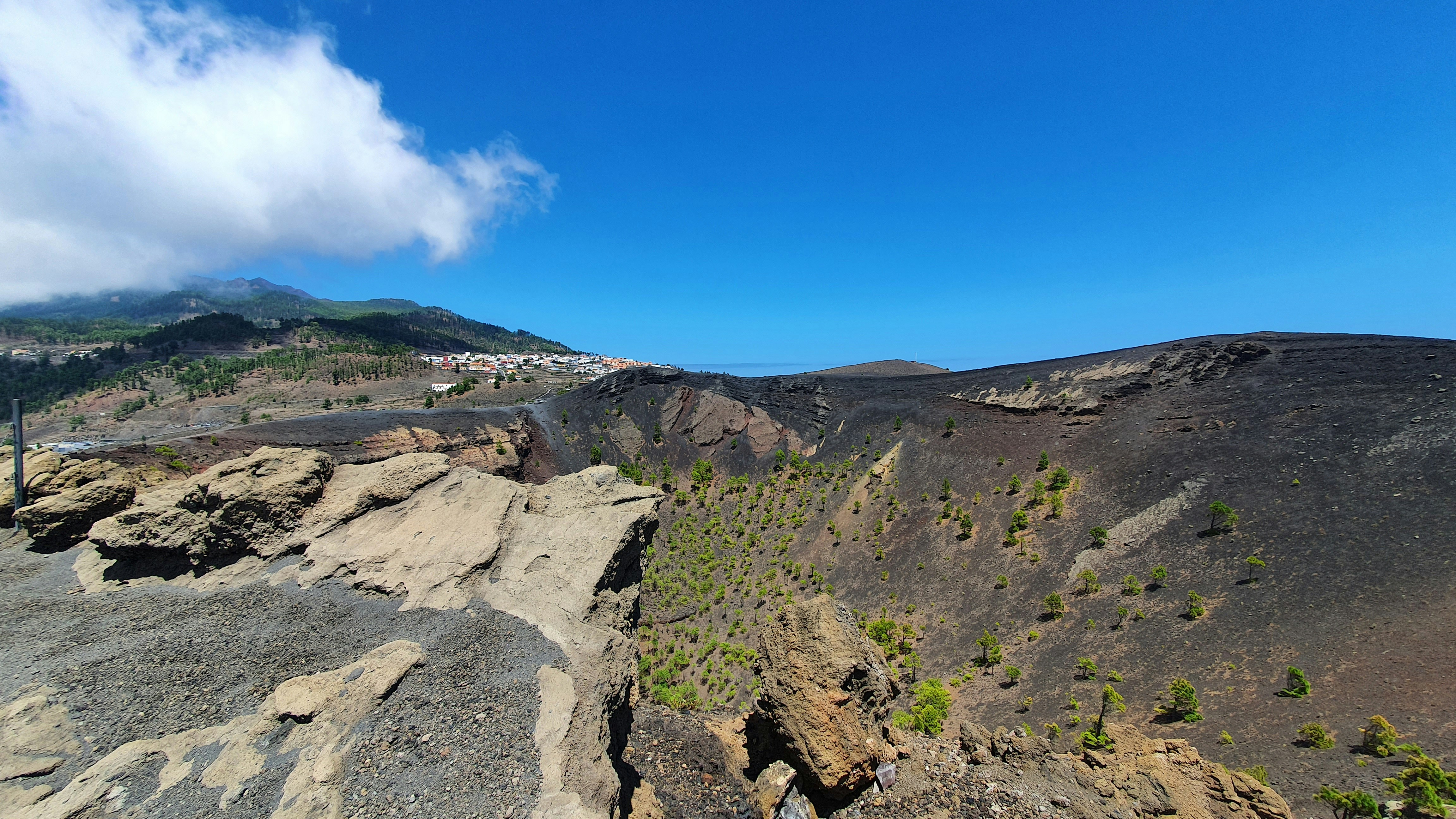 Photo by onedayin2050