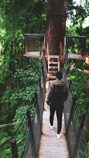 a man walking across a suspension bridge in a forest