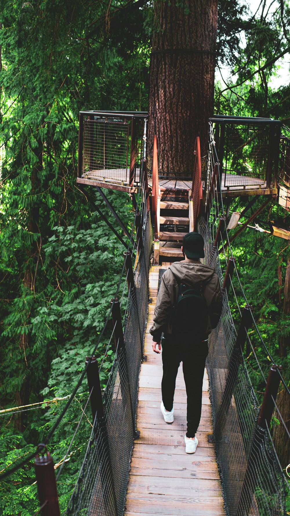 Ein Mann geht über eine Hängebrücke in einem Wald