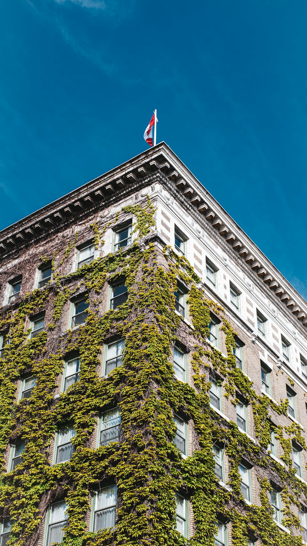 a tall building covered in vines and ivys