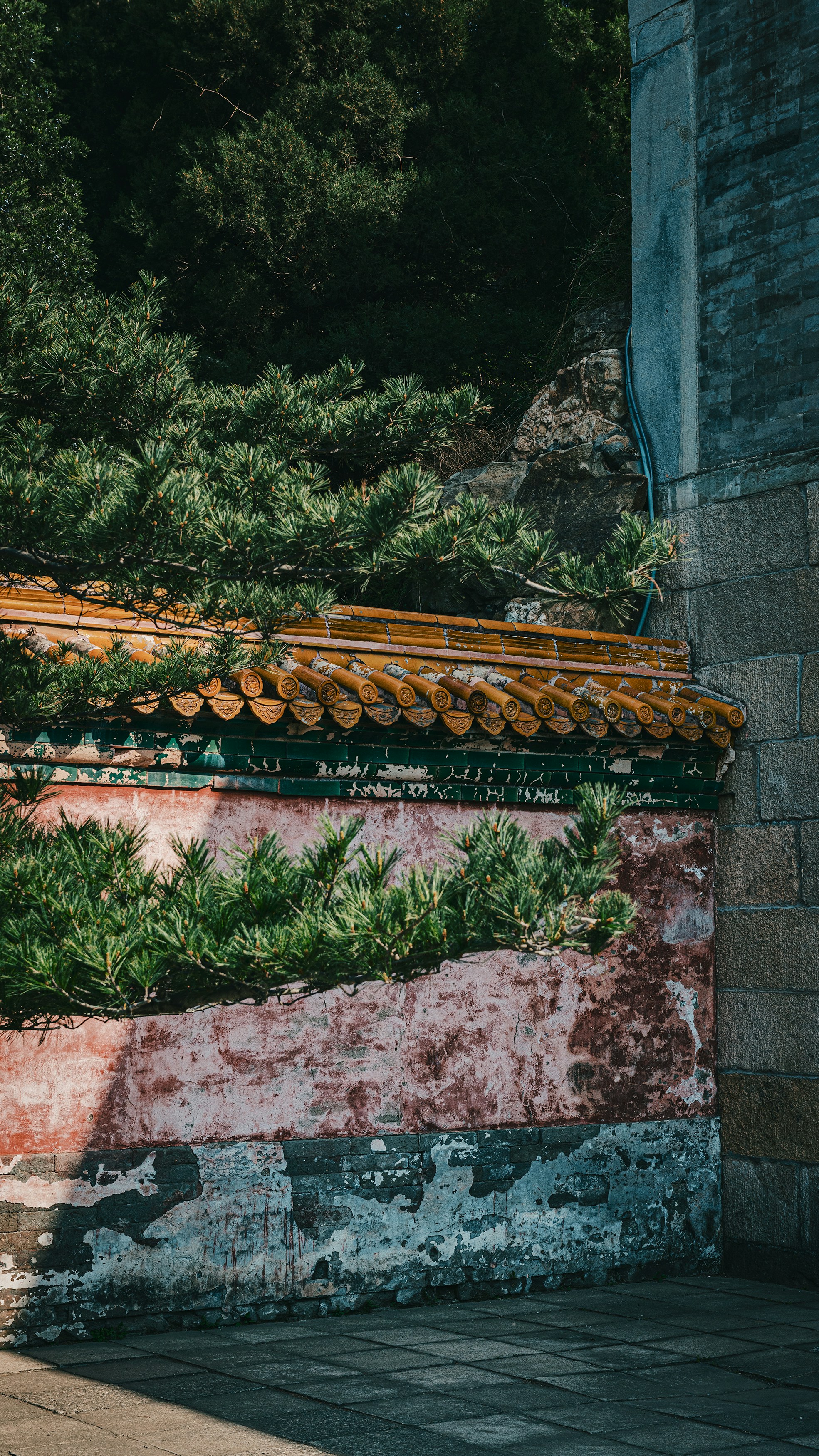 Photo by peek_a_boo_who