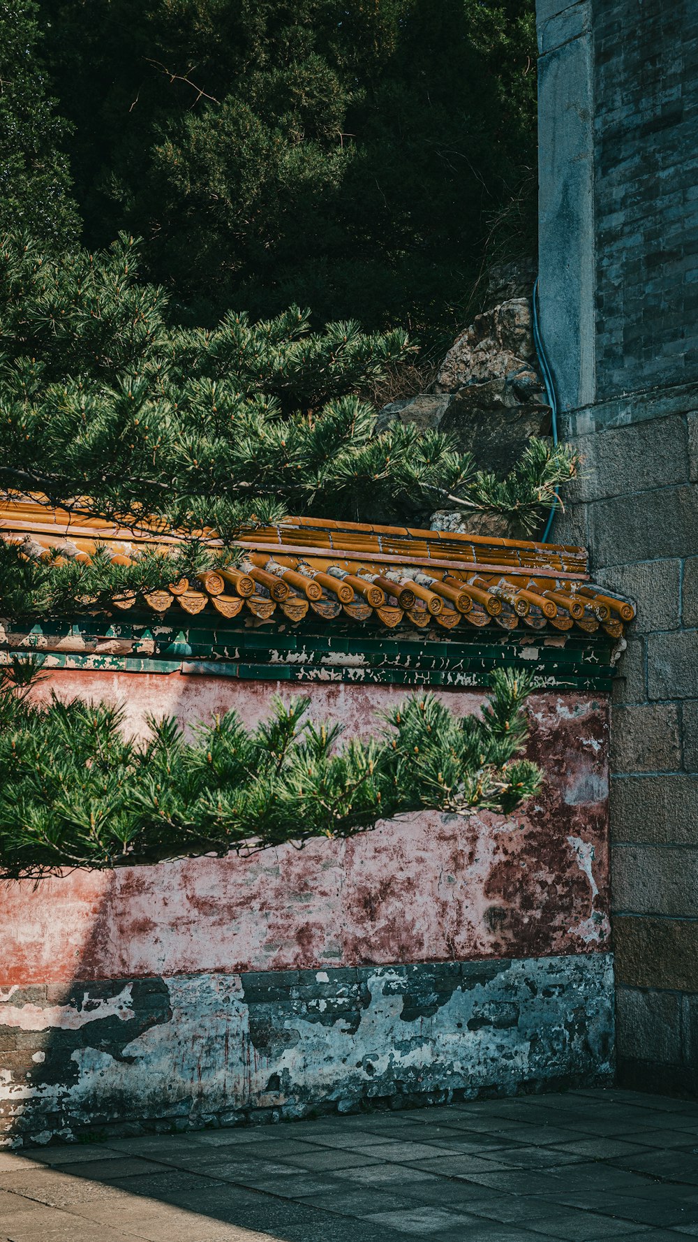 a building with a bunch of plants growing on the side of it