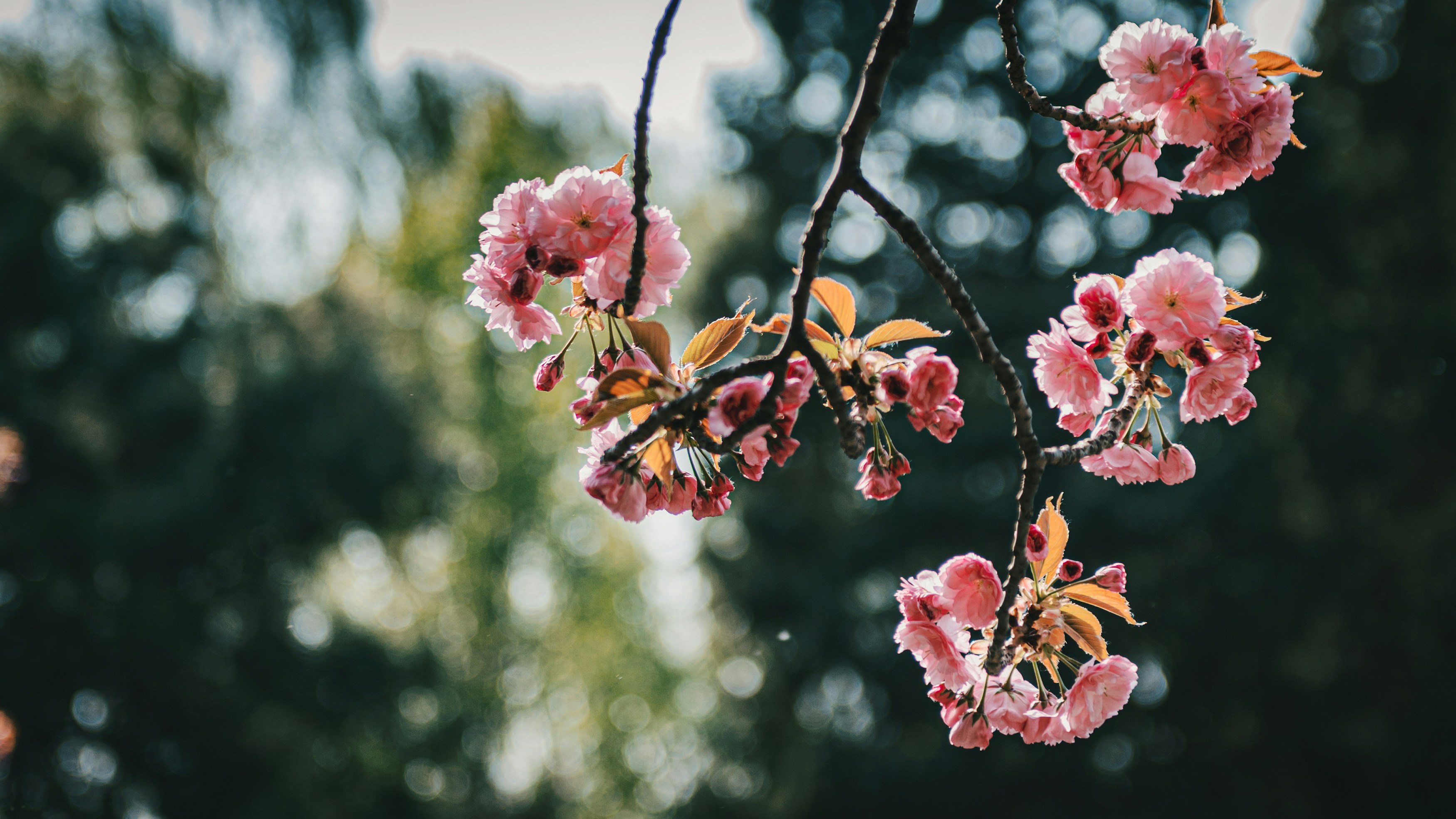 Photo by peek_a_boo_who