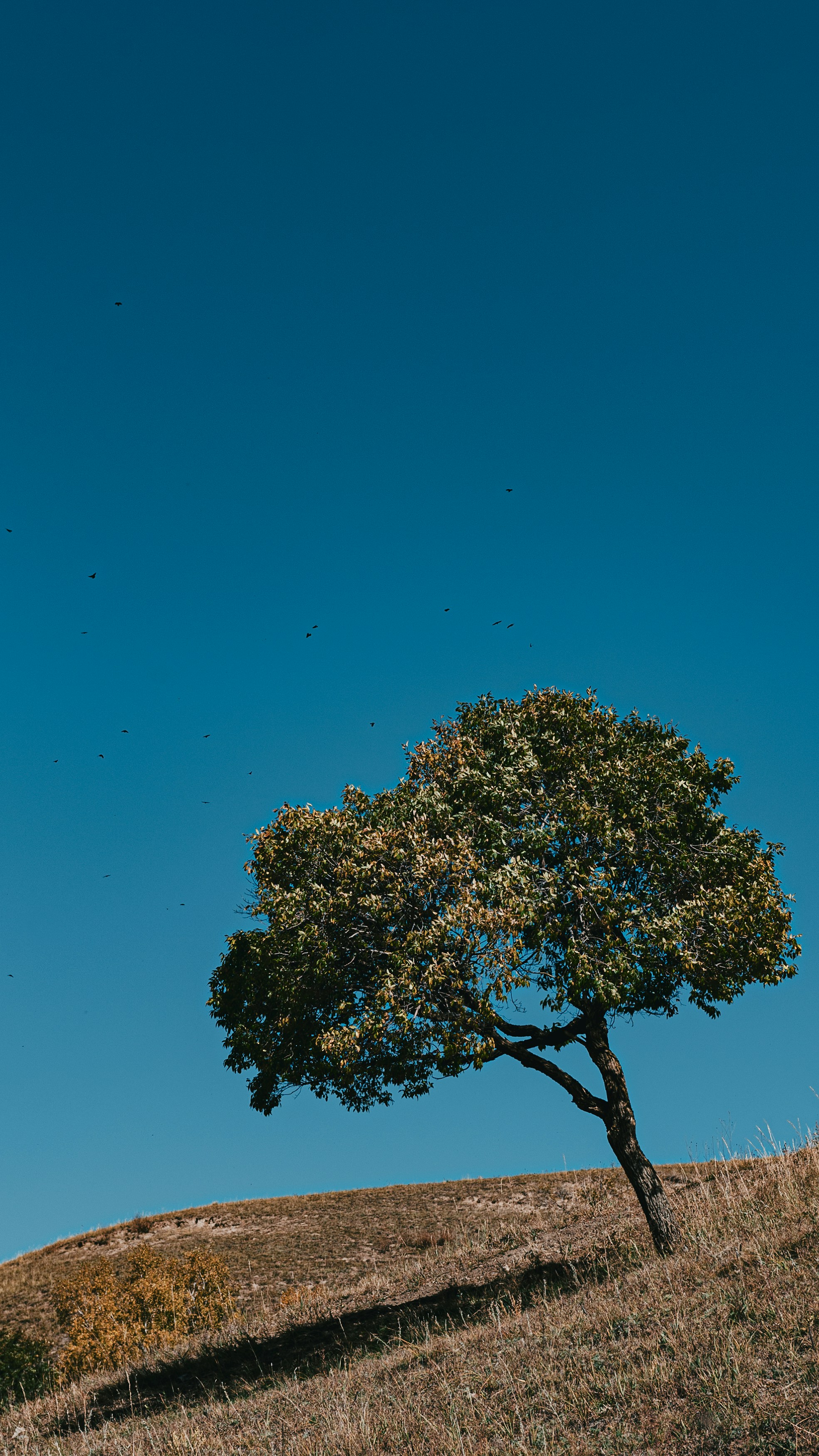 Photo by peek_a_boo_who