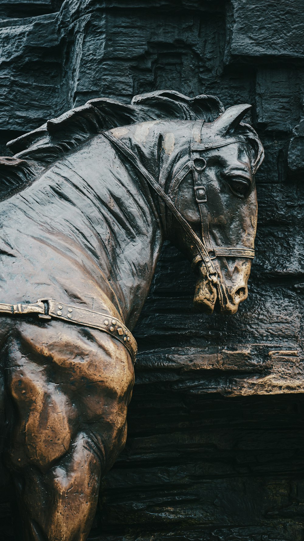 a statue of a horse with a bridle on it's head