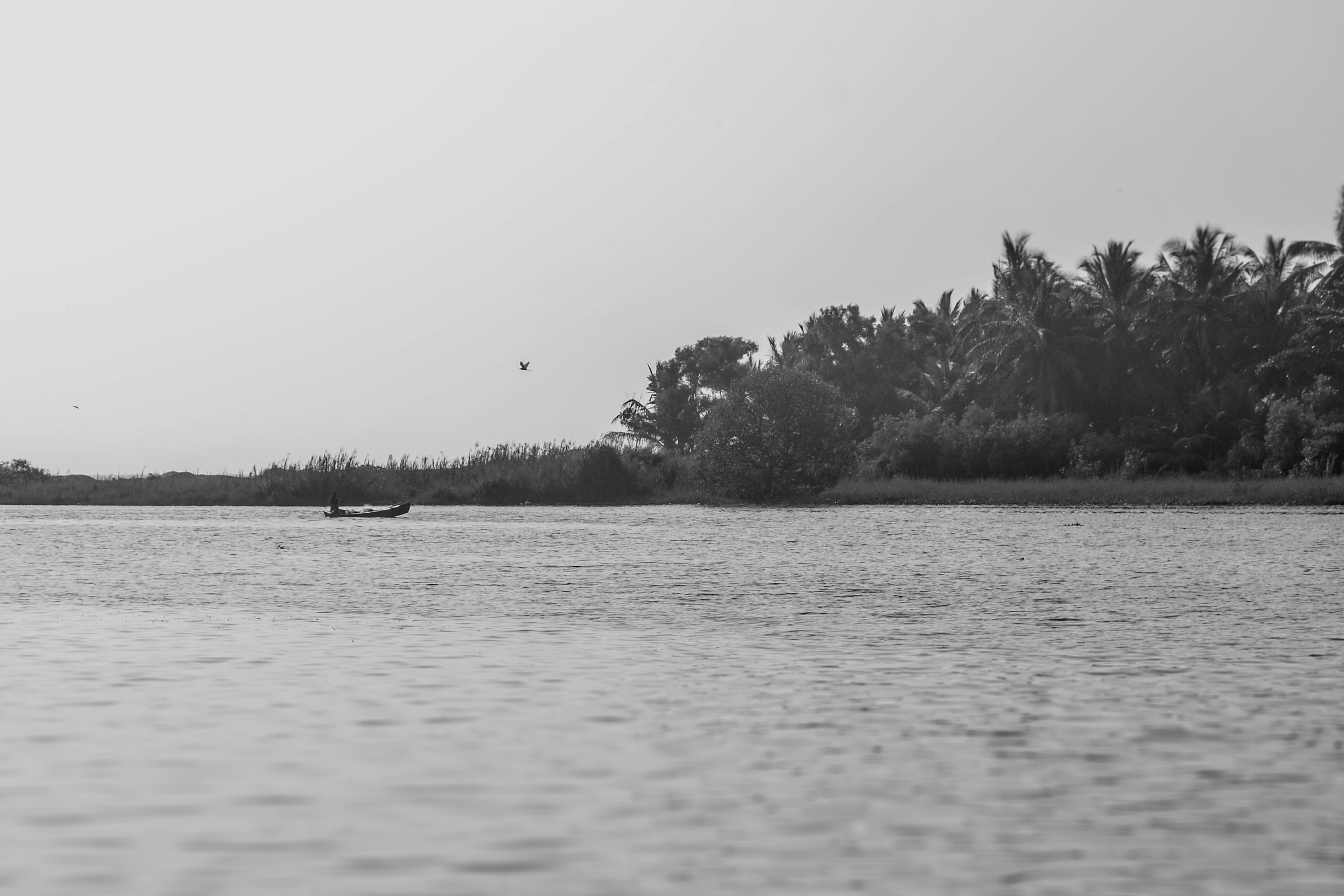 Photo by abhilashbalakrishnan97