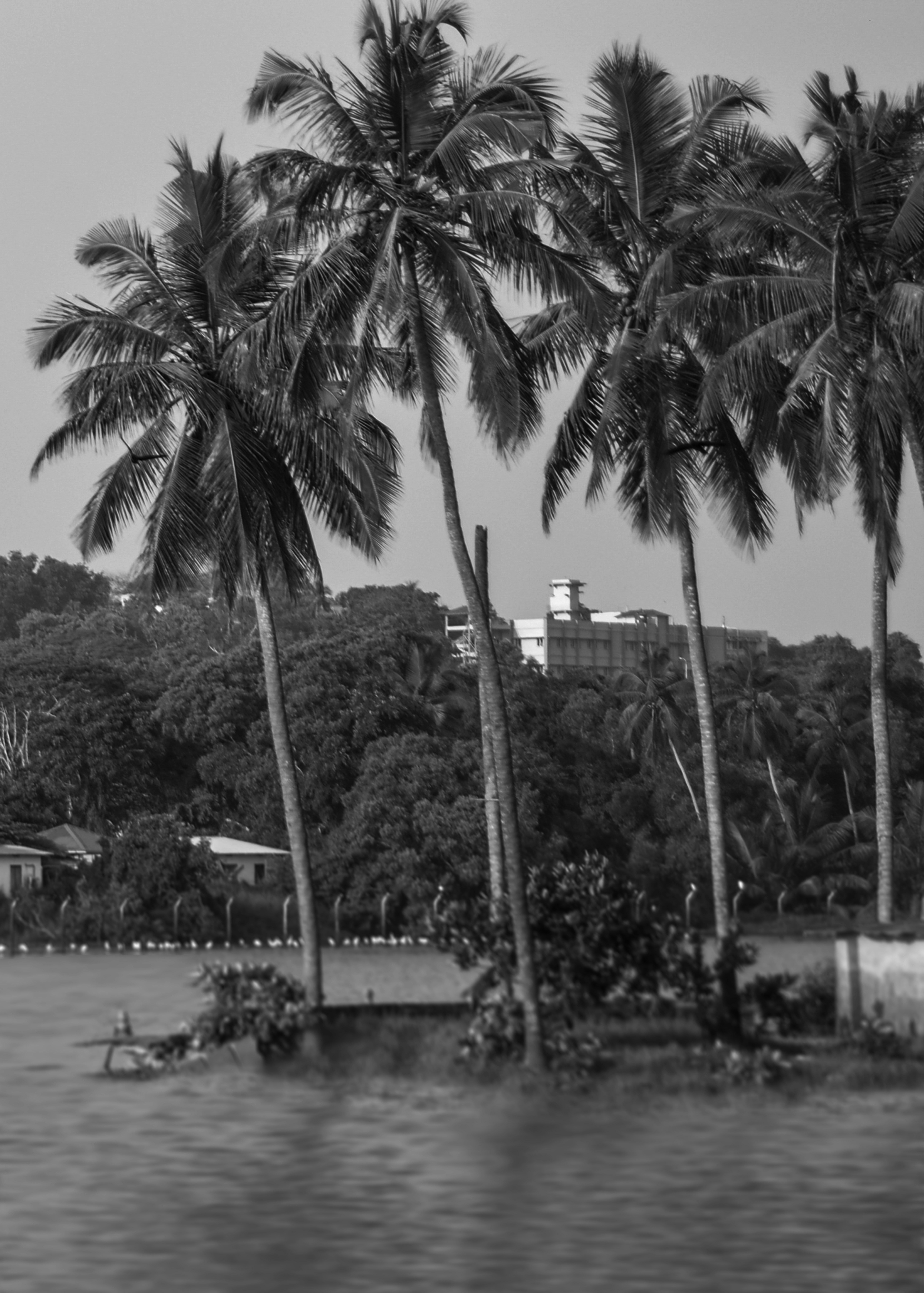 Photo by abhilashbalakrishnan97