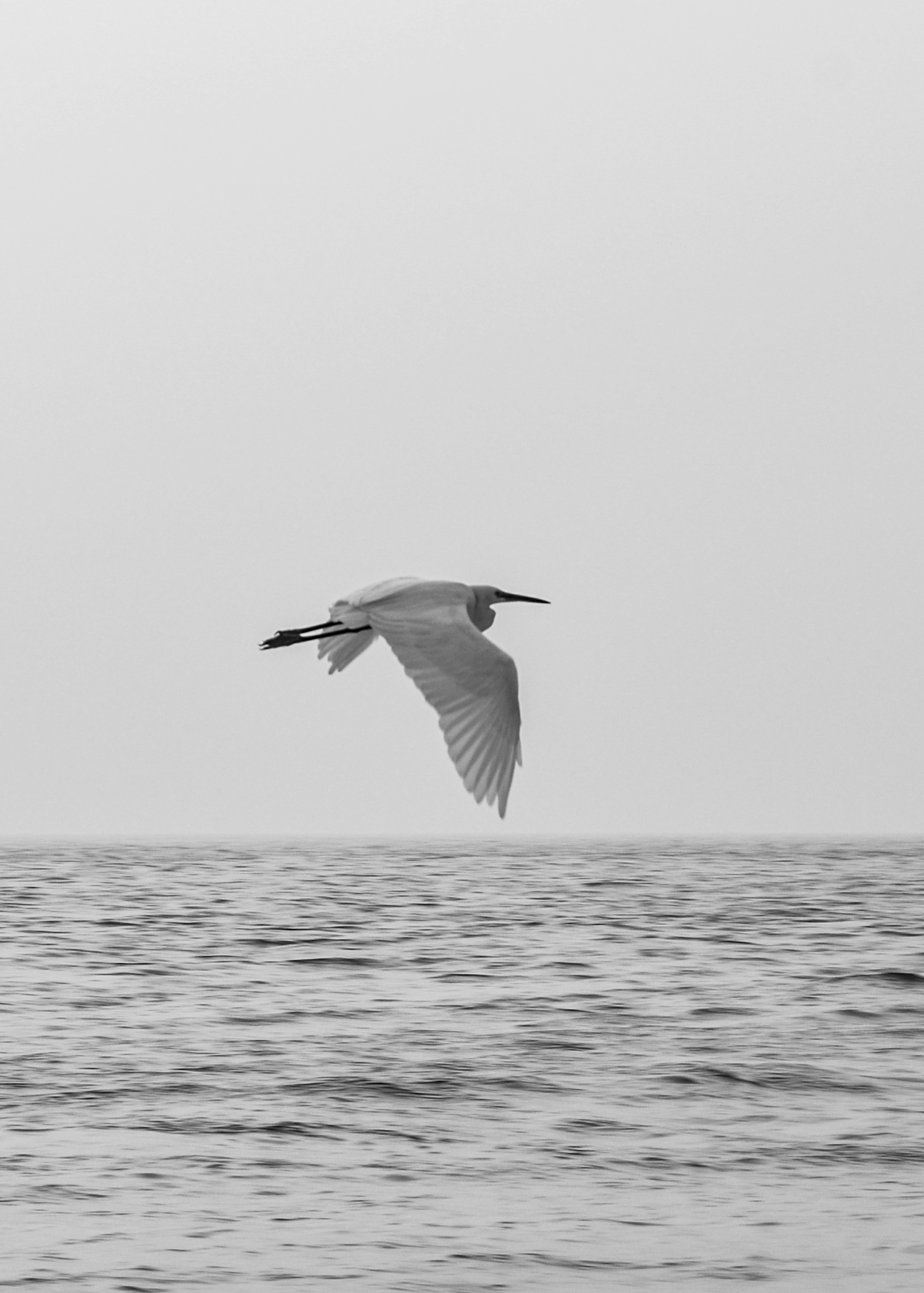 Photo by abhilashbalakrishnan97