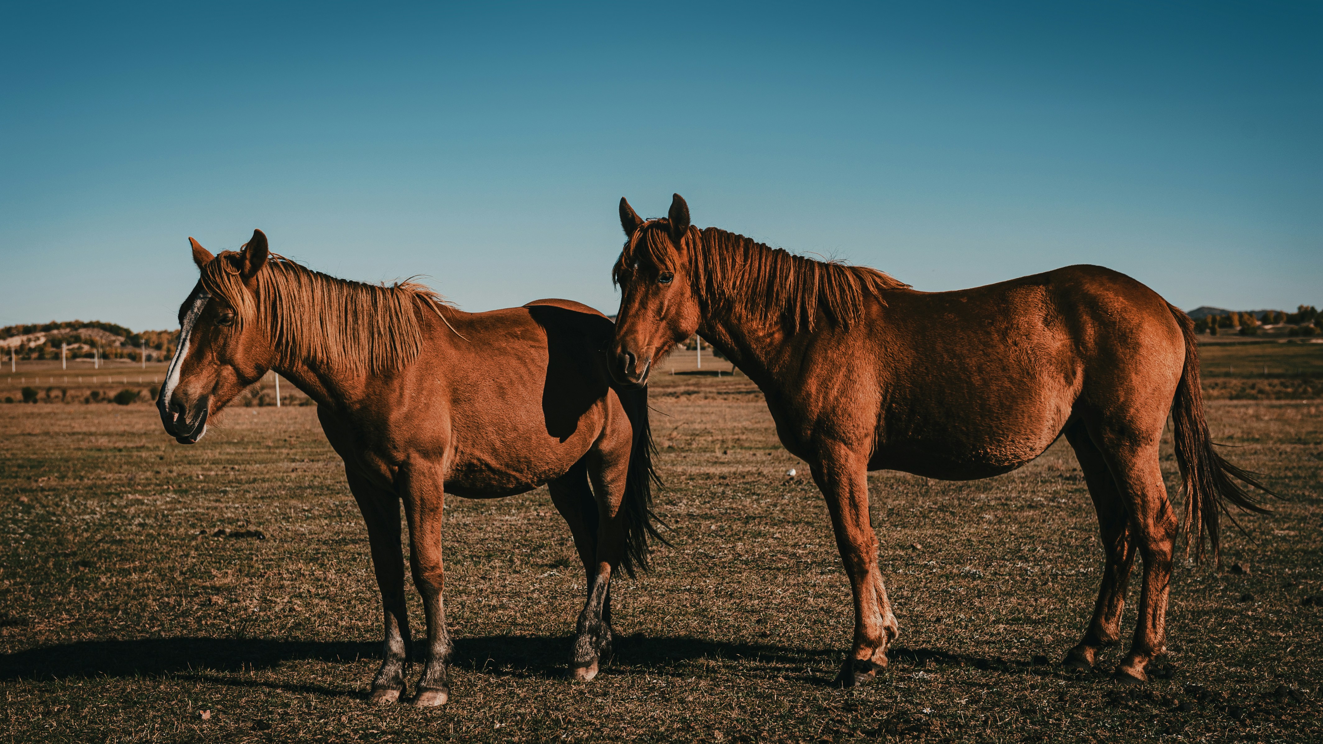 Photo by peek_a_boo_who