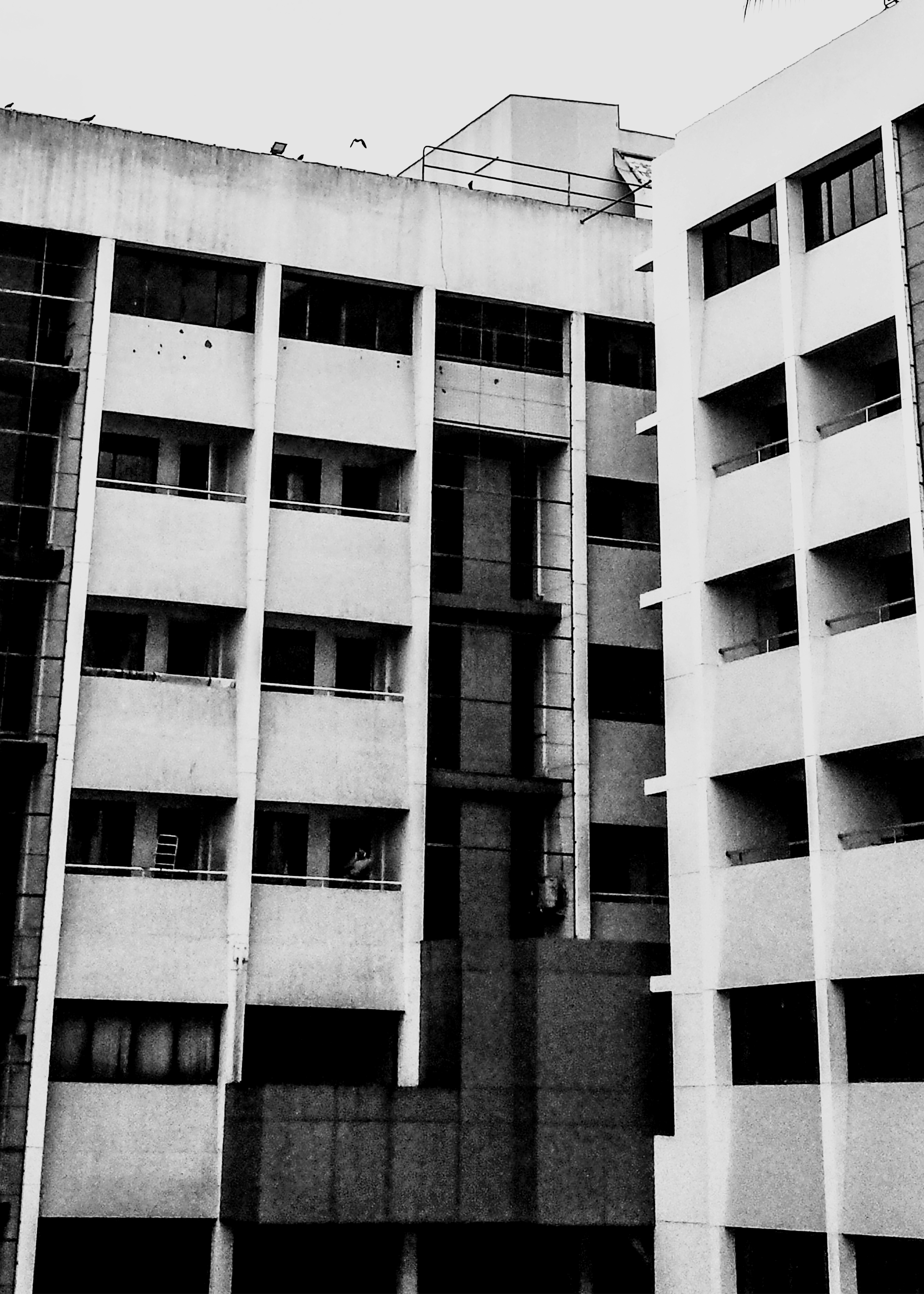 Photo by abhilashbalakrishnan97