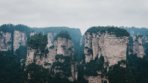 Sea of sandstone needle spires surrounded by clouds at Tianzi Mountain